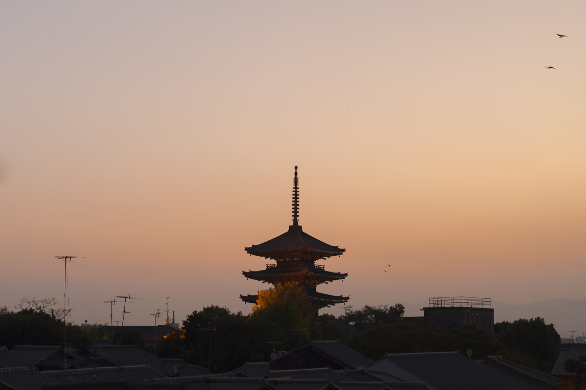 ZEISS Planar T* 50mm F1.4 sample photo. Kyoto photography