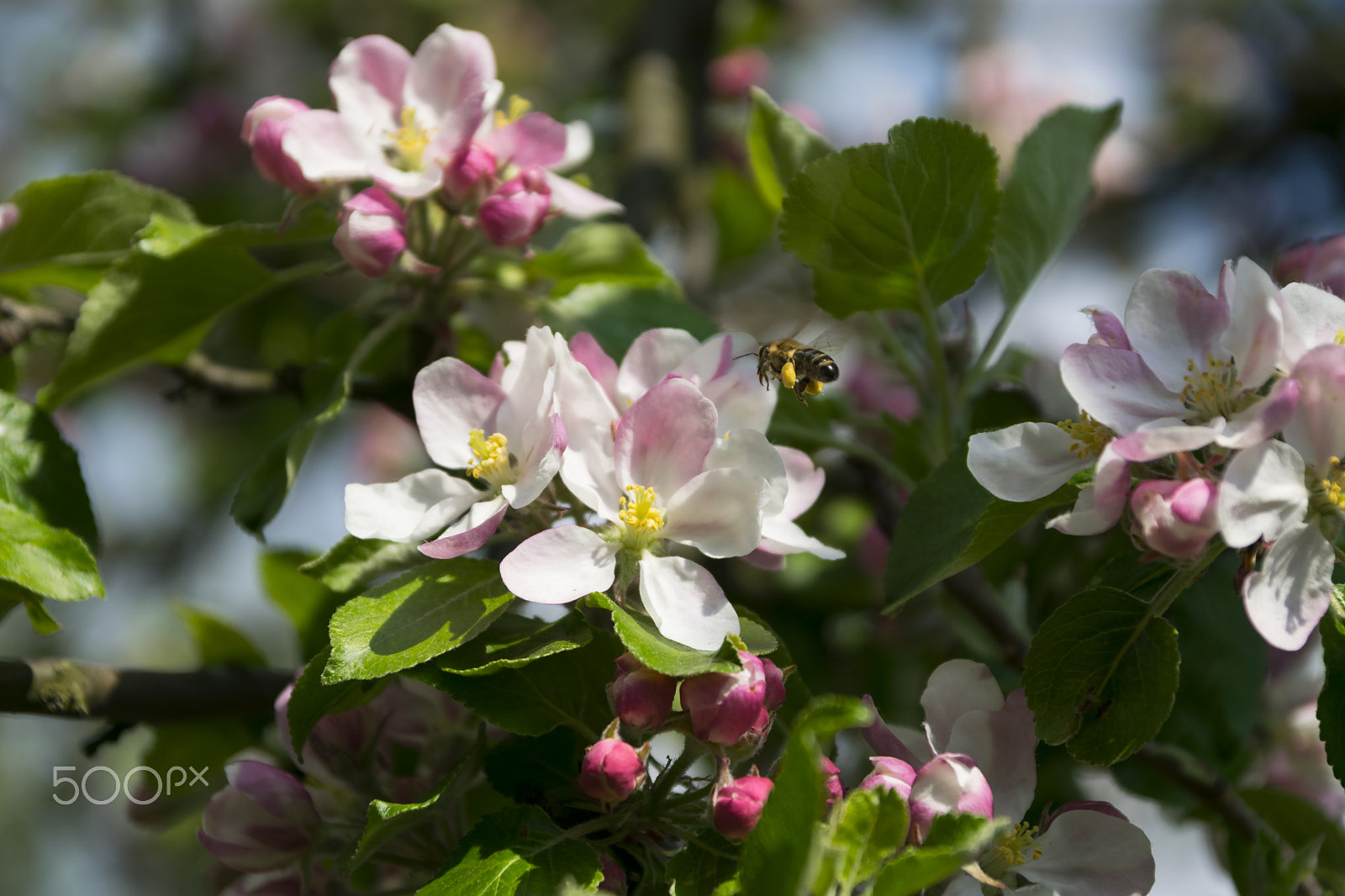 Sigma 17-70mm F2.8-4 DC Macro OS HSM sample photo. Trip photography