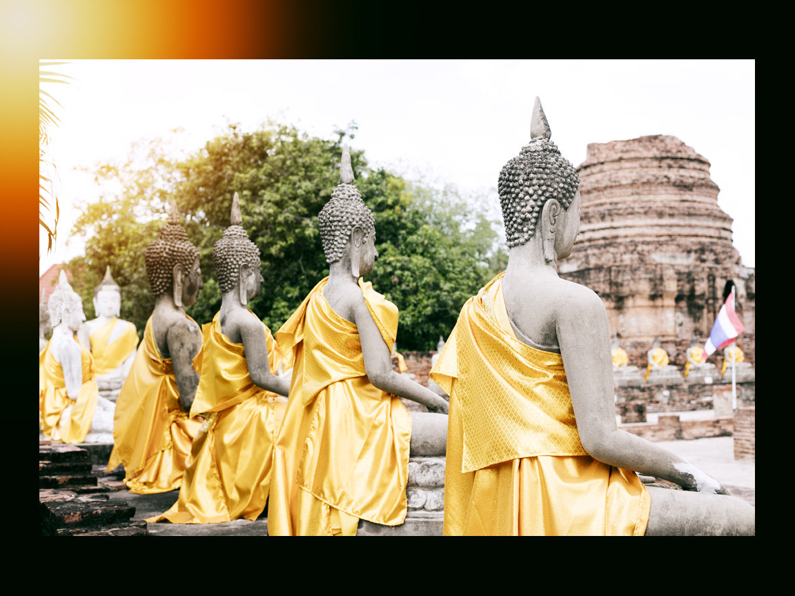 Canon EOS 5DS R sample photo. Untitled photography