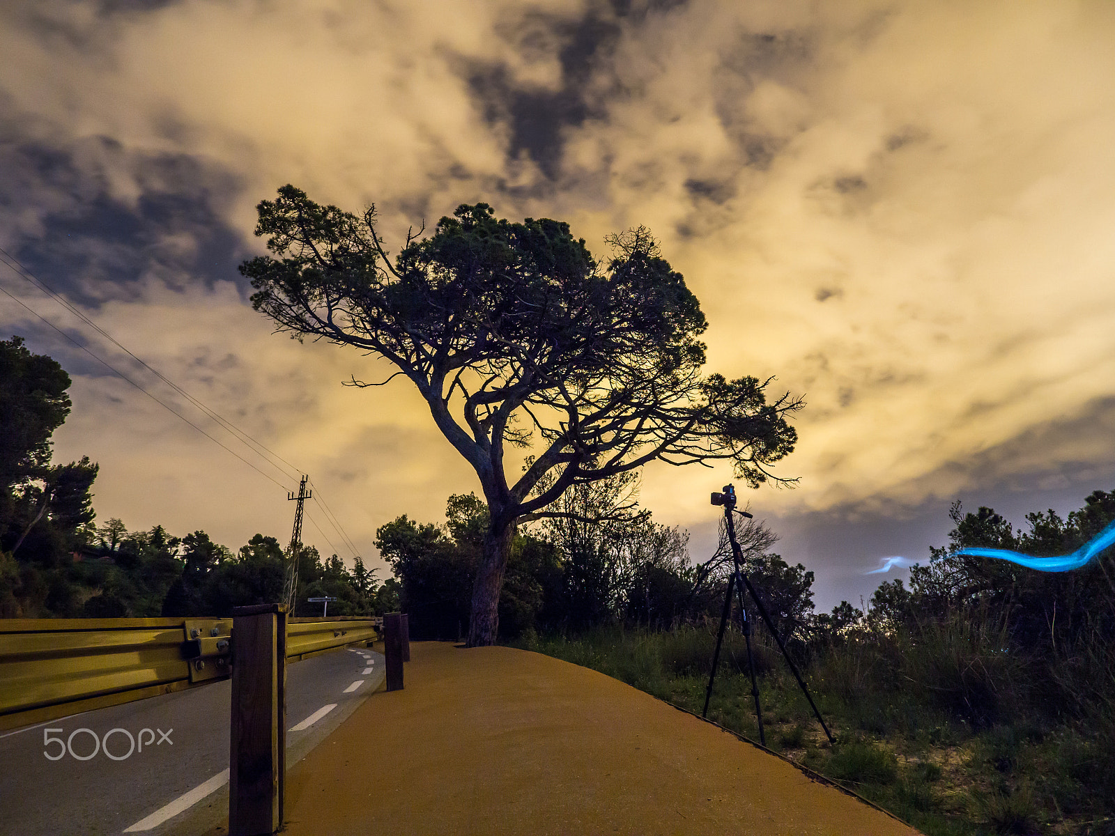 Olympus OM-D E-M10 II + OLYMPUS M.9-18mm F4.0-5.6 sample photo. Árbol nocturno photography