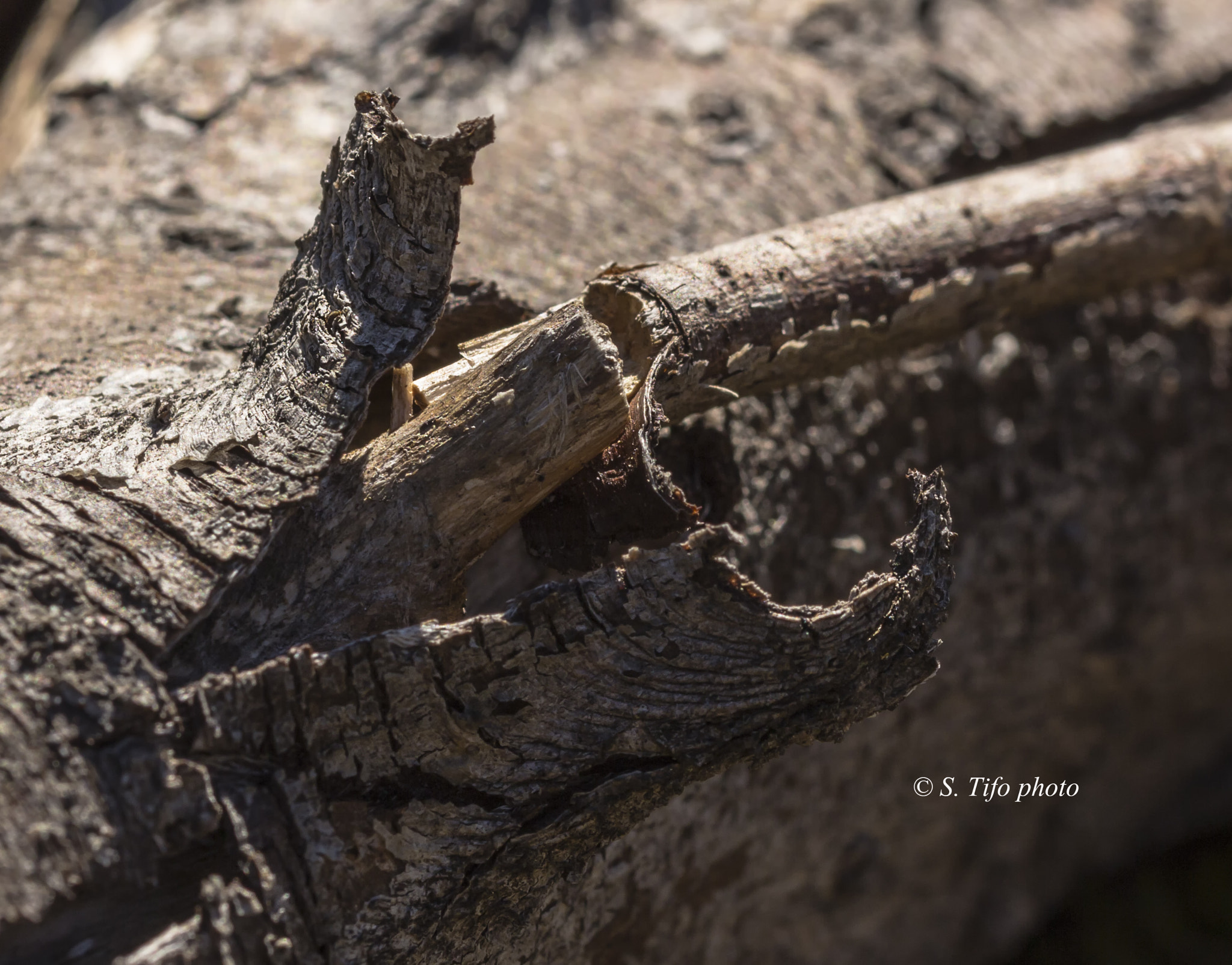 Sigma 105mm F2.8 EX DG OS HSM sample photo. Fracture ..... photography