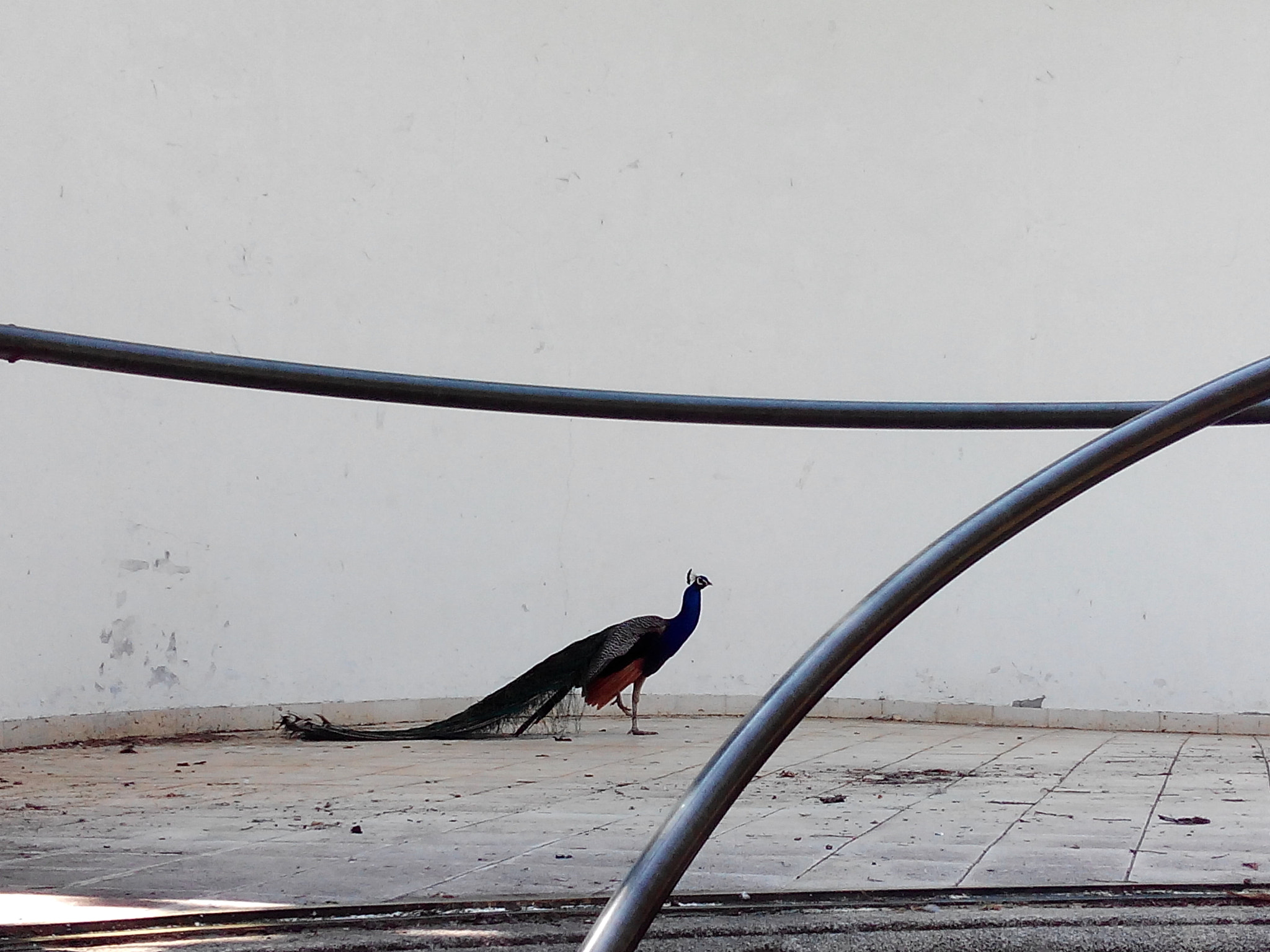 bq Aquaris E5 FHD sample photo. Alone photography