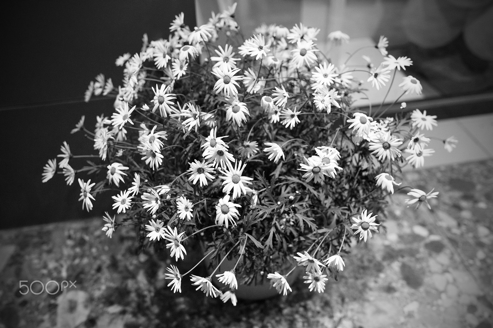Canon EF 35mm F1.4L II USM sample photo. Xbai2133.jpg photography