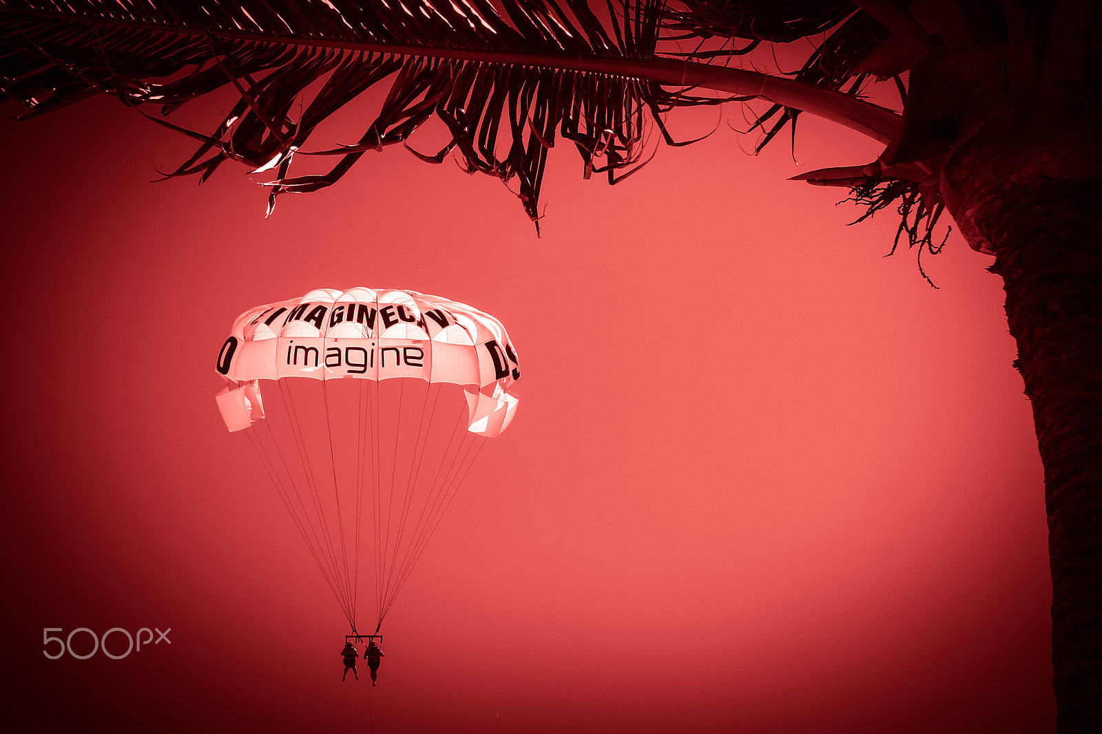 Canon EOS 100D (EOS Rebel SL1 / EOS Kiss X7) sample photo. Imagination, by mauricio barbiani photography