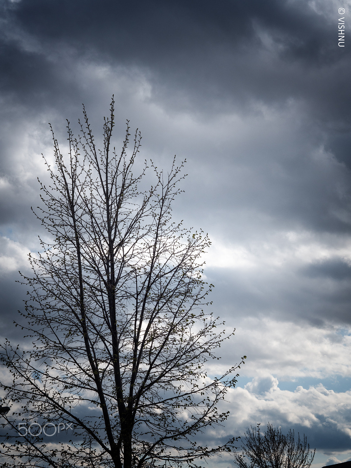 Panasonic Lumix DMC-GH4 + Olympus M.Zuiko Digital 45mm F1.8 sample photo. Clouds_blue photography