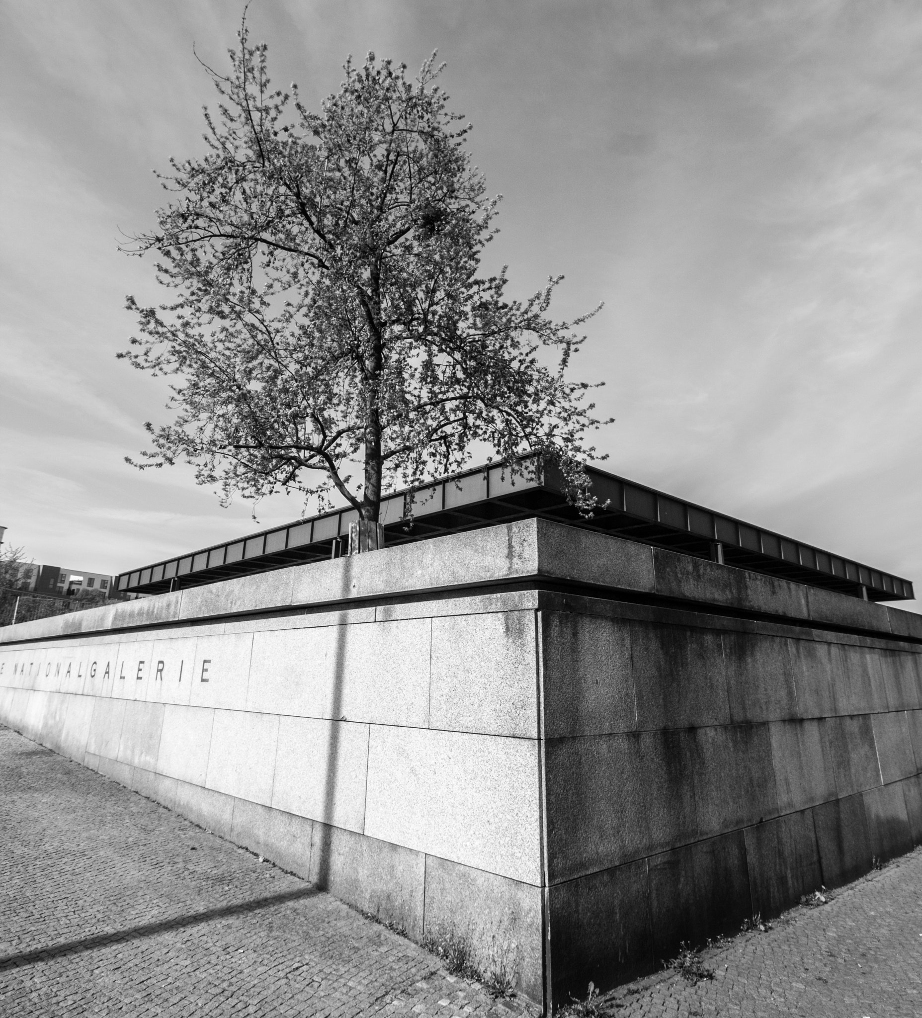 Canon EF-S 10-18mm F4.5–5.6 IS STM sample photo. Mies... photography