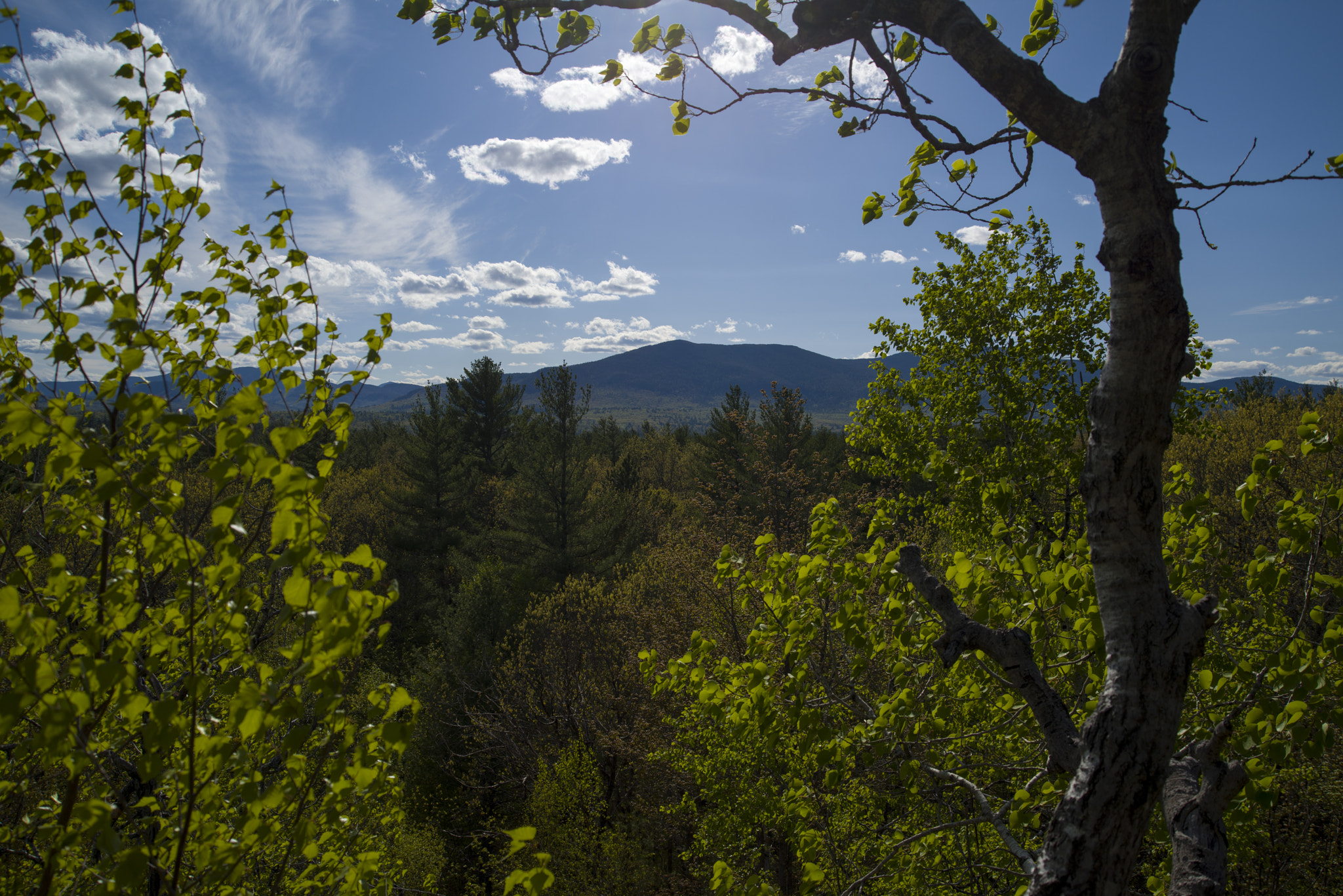 AF Zoom-Nikkor 28-80mm f/3.3-5.6G sample photo. Noon over the whites photography