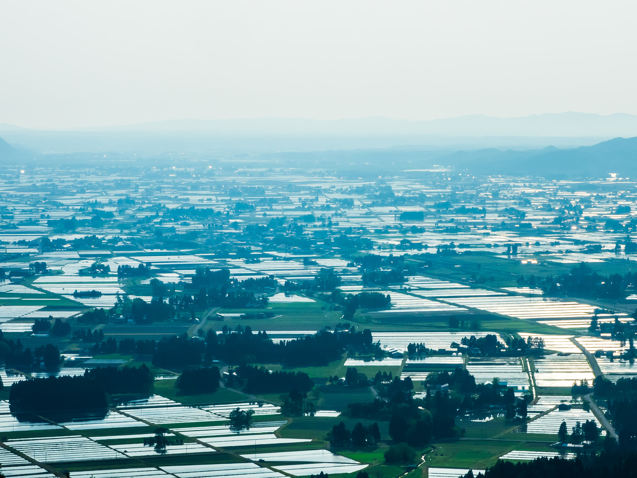Olympus OM-D E-M1 + OLYMPUS M.12-50mm F3.5-6.3 sample photo. Paddy field photography