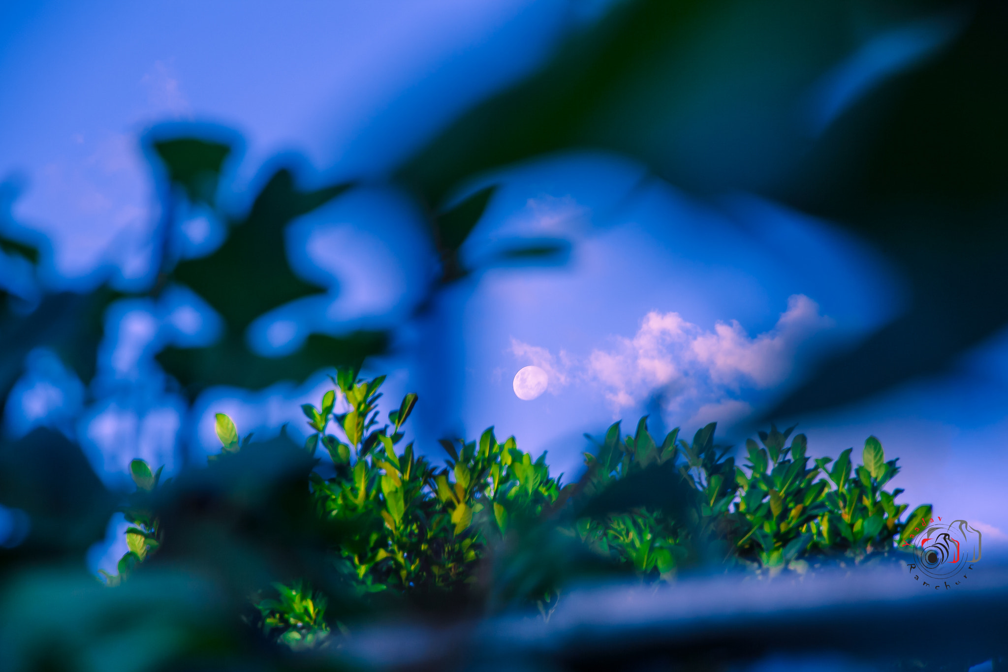 Canon EOS 1000D (EOS Digital Rebel XS / EOS Kiss F) sample photo. Day moon photography