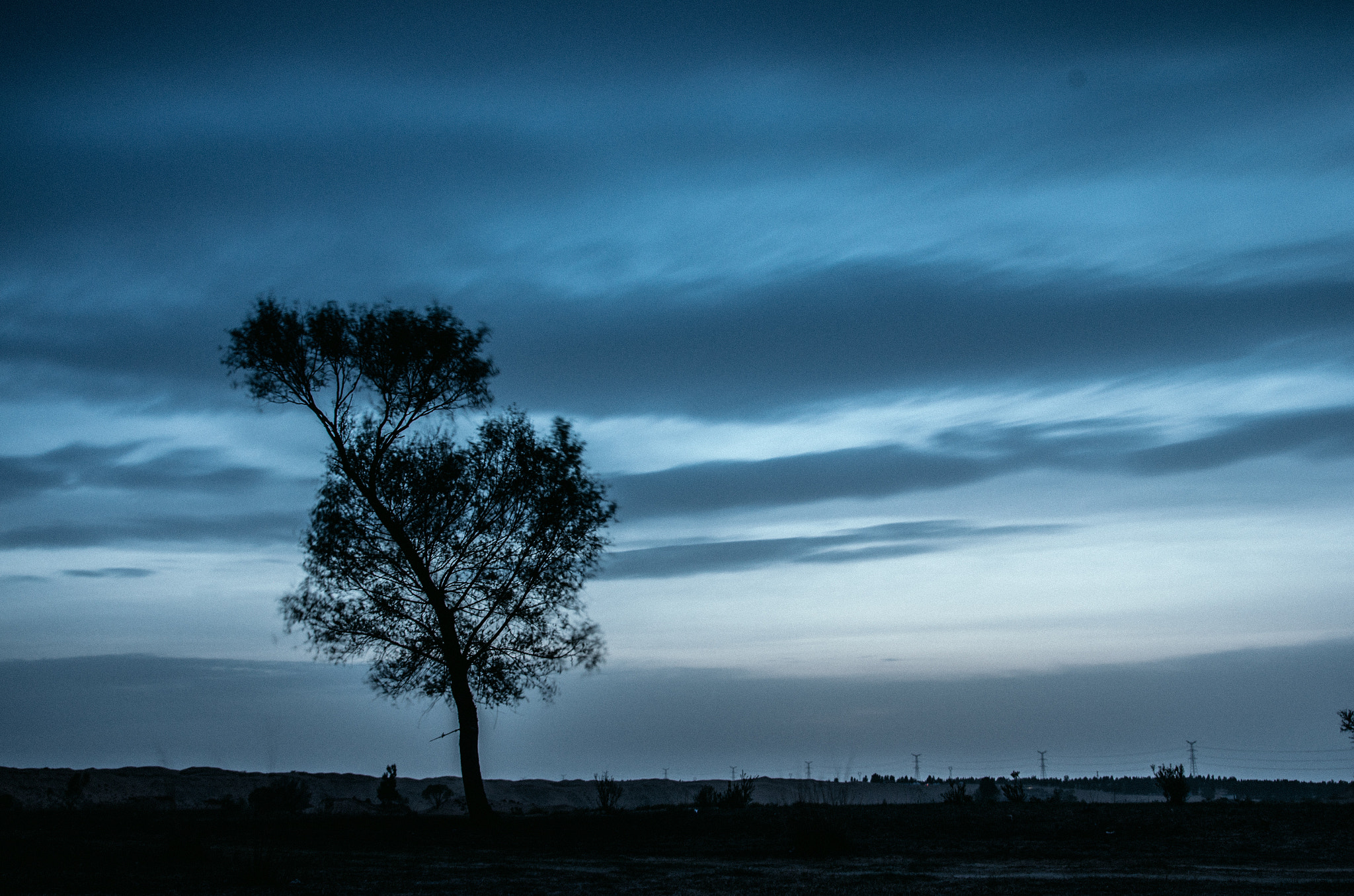 Pentax K-5 IIs + Sigma sample photo. Kubuqi photography