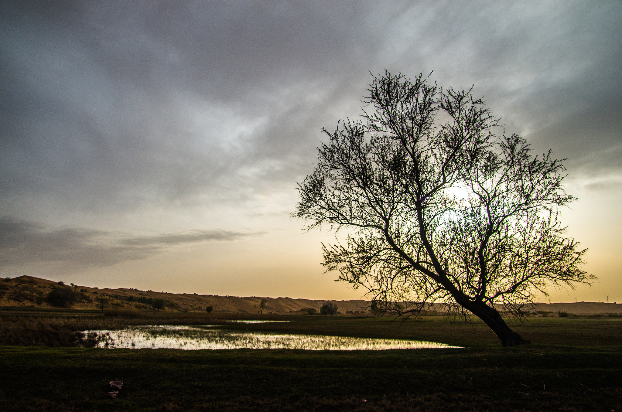 Pentax K-5 IIs + Sigma sample photo. Kubuqi photography