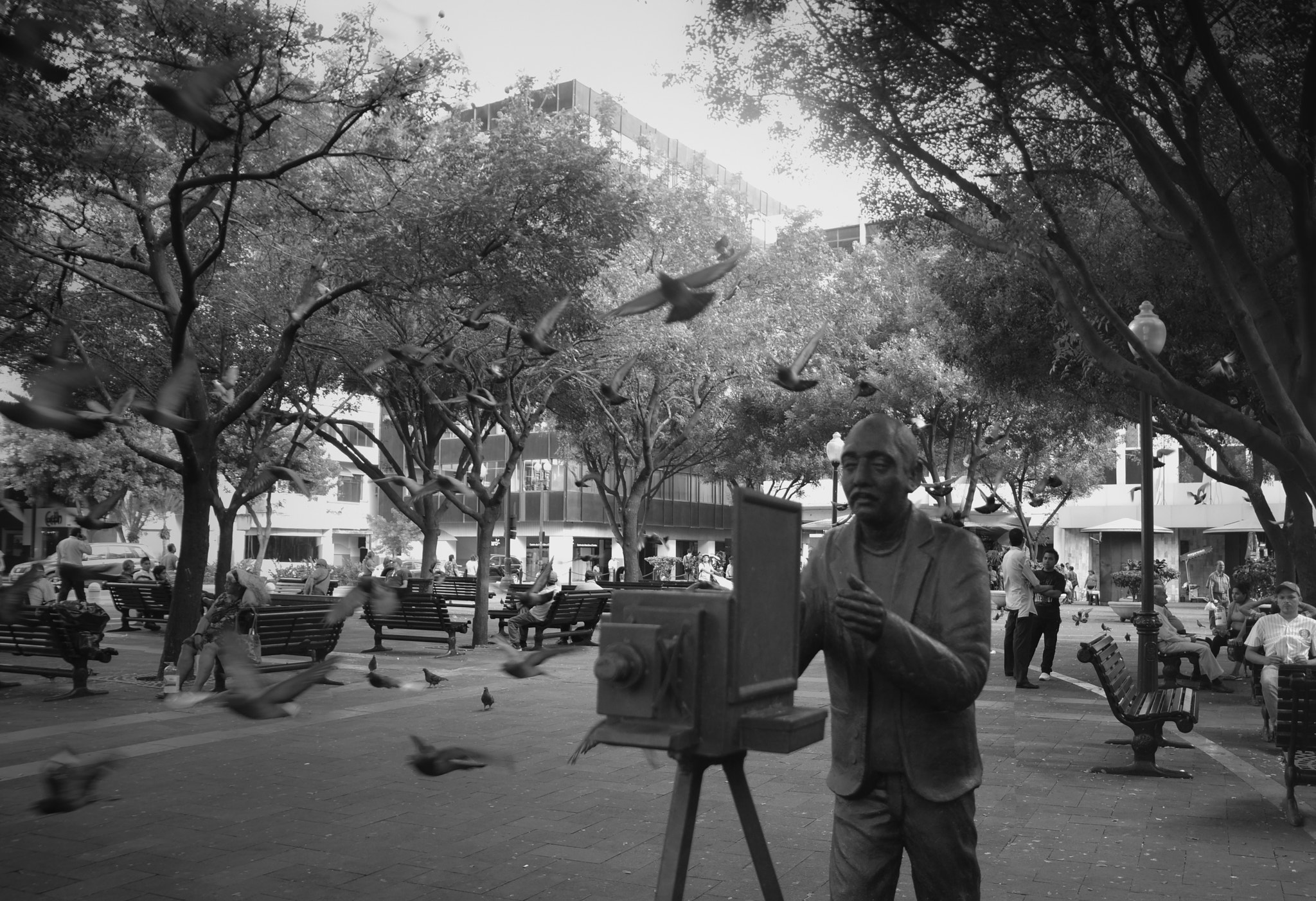 Sigma 17-70mm F2.8-4 DC Macro OS HSM sample photo. Vintage guayaquil photography