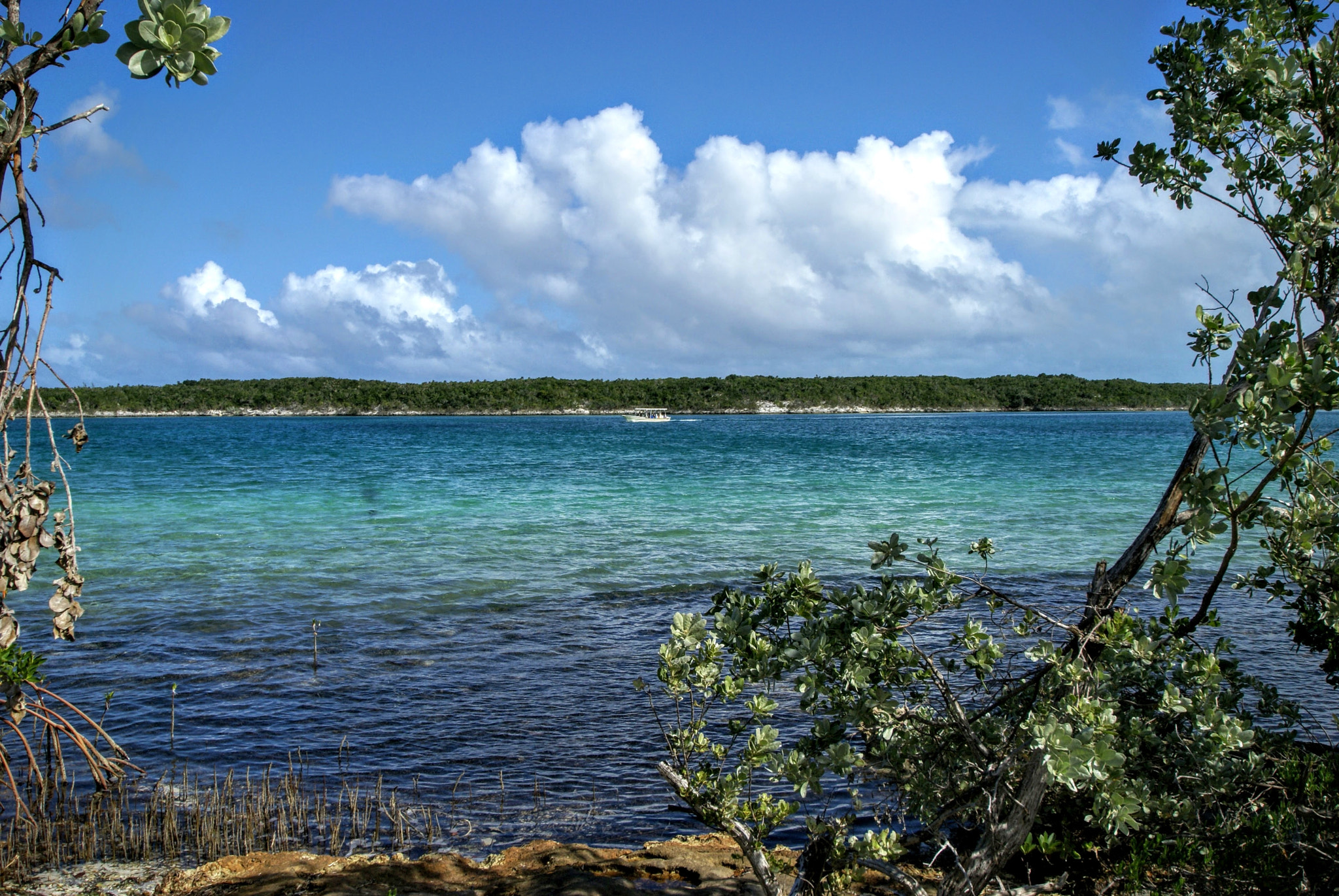 Sony Alpha DSLR-A100 sample photo. Island lake photography