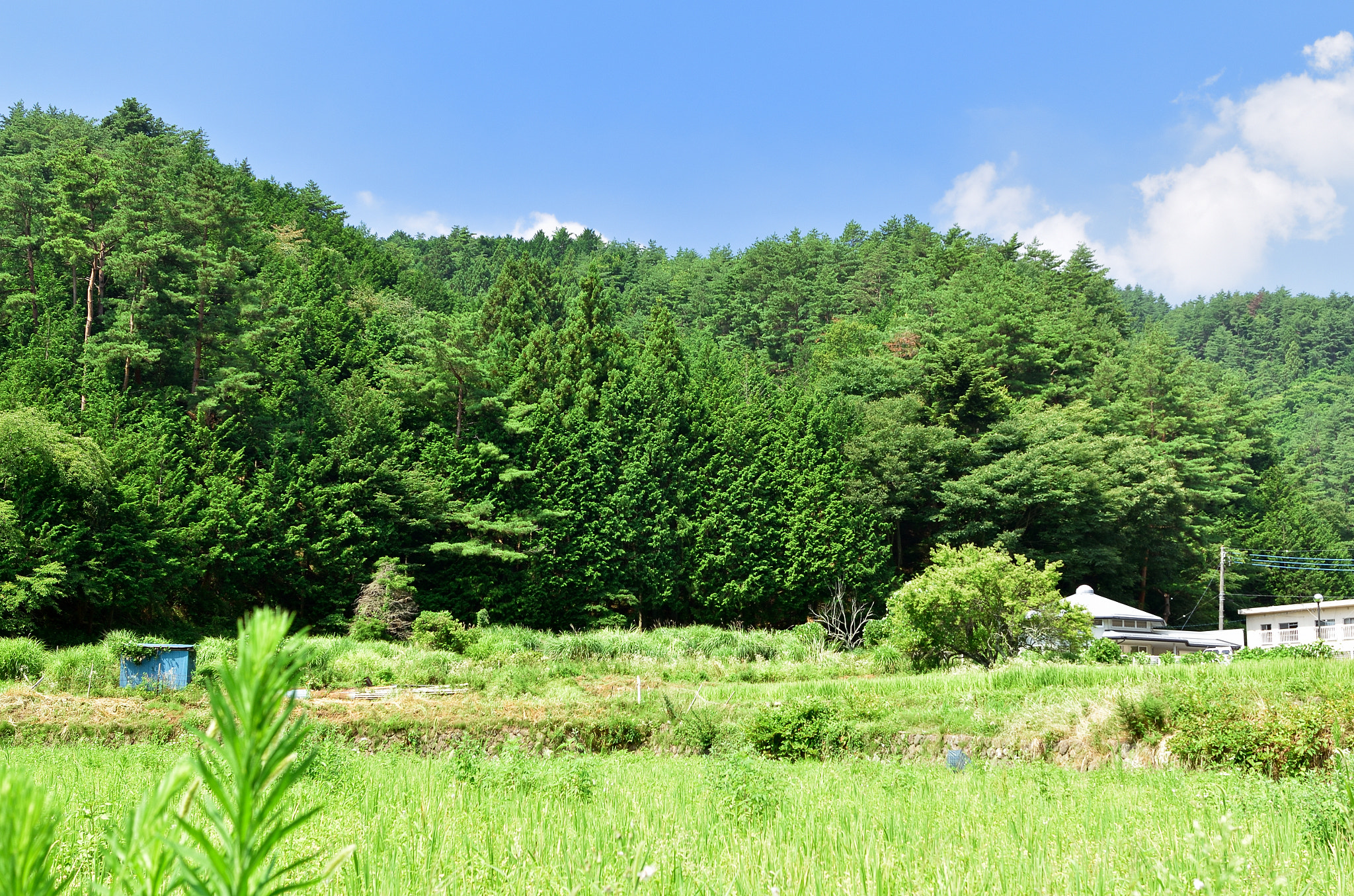 Nikon D5100 + Nikon AF-S Nikkor 28mm F1.8G sample photo. The mountains of country photography