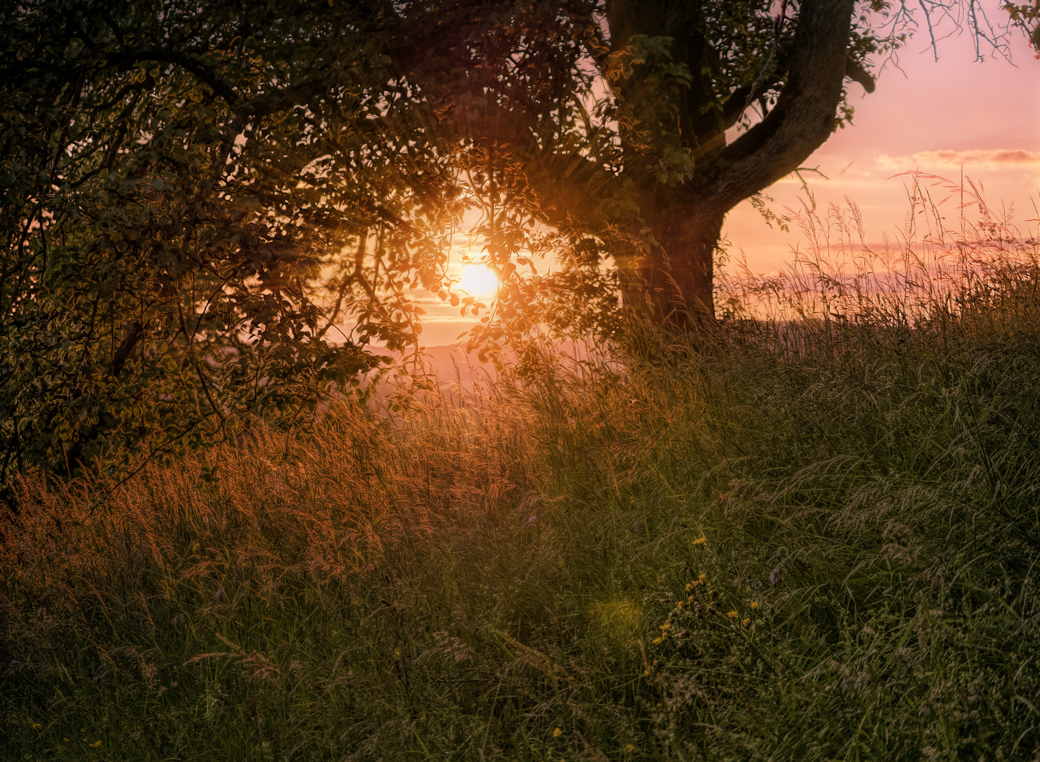 Panasonic Lumix DMC-GM5 sample photo. Weiach sunset ii photography