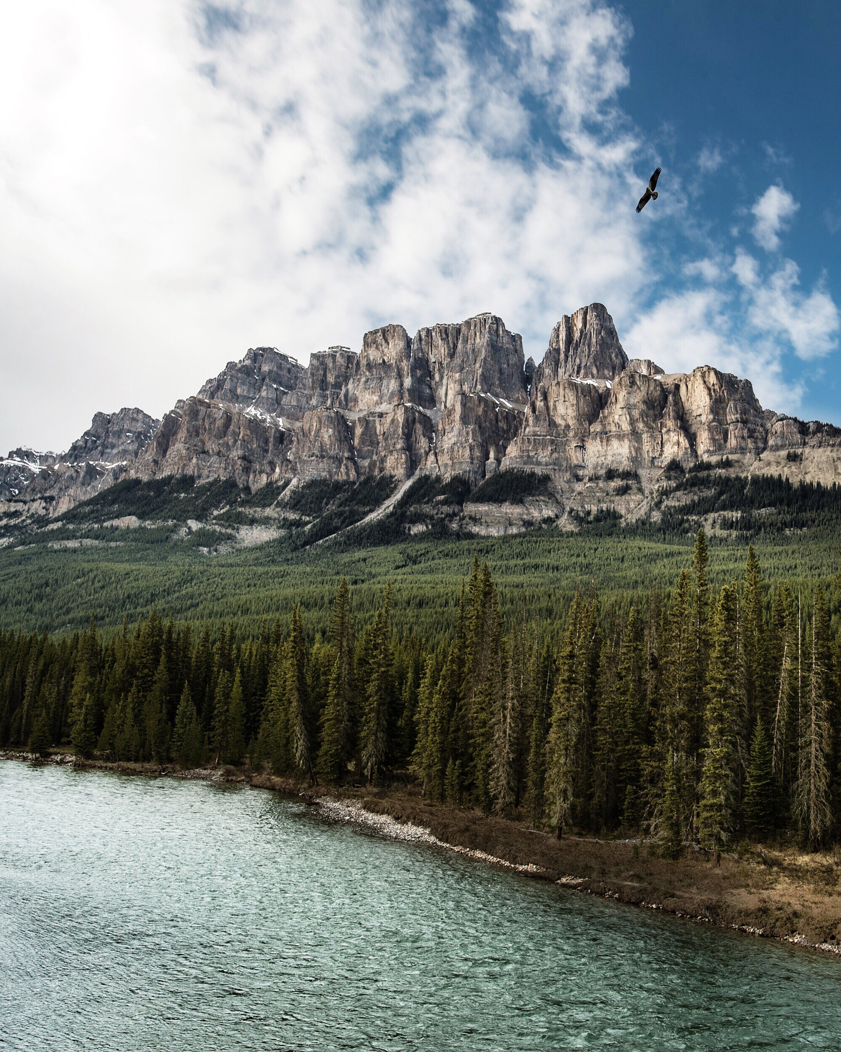 Nikon AF-S Nikkor 20mm F1.8G ED sample photo. Osprey & castle mountain. bow river. banff. alberta. photography