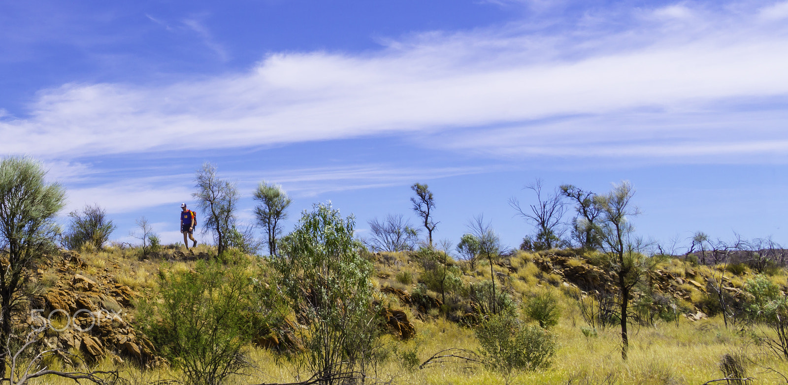 Sony Alpha a5000 (ILCE 5000) + Sigma 19mm F2.8 EX DN sample photo. Desert march photography
