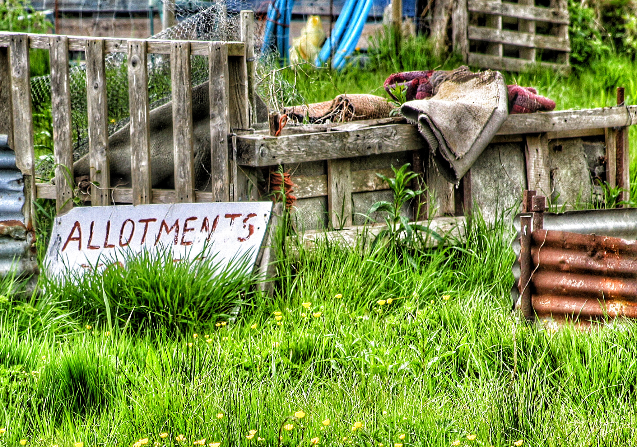 Canon EOS 50D + Canon EF75-300mm f/4-5.6 USM sample photo. Down the allotment photography