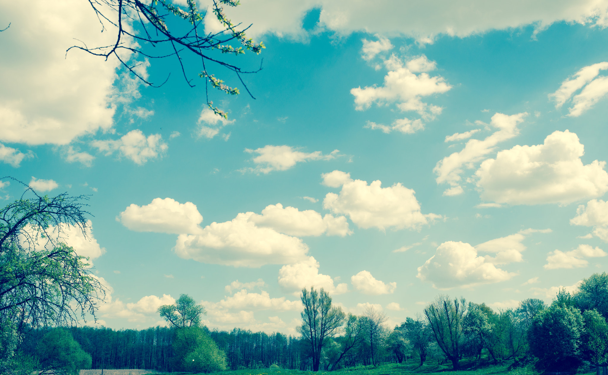 Nikon D800E + Nikon AF-S Nikkor 35mm F1.4G sample photo. Clouds photography