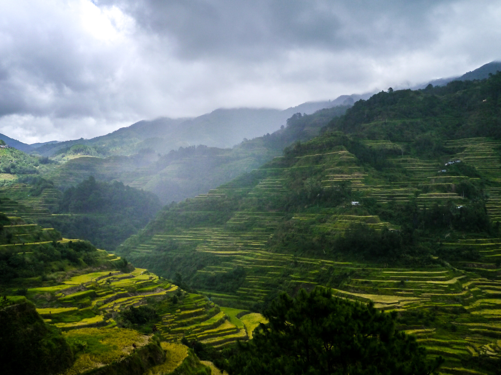 LUMIX G VARIO PZ 14-42/F3.5-5.6 sample photo. The rains approach the rice fields of sagada, mountain province photography