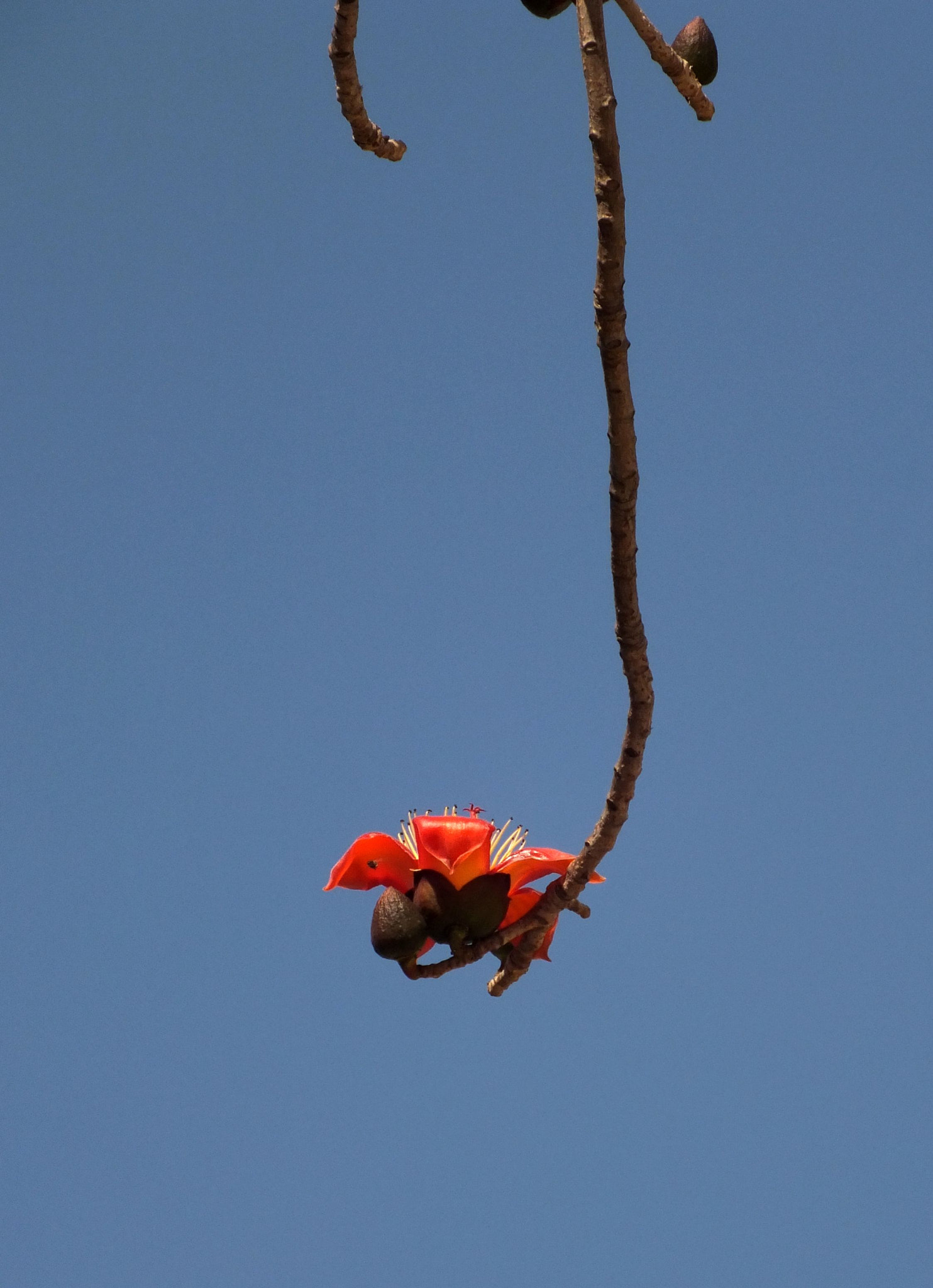 FujiFilm FinePix HS20 EXR (FinePix HS22 EXR) sample photo. 攀枝花 photography