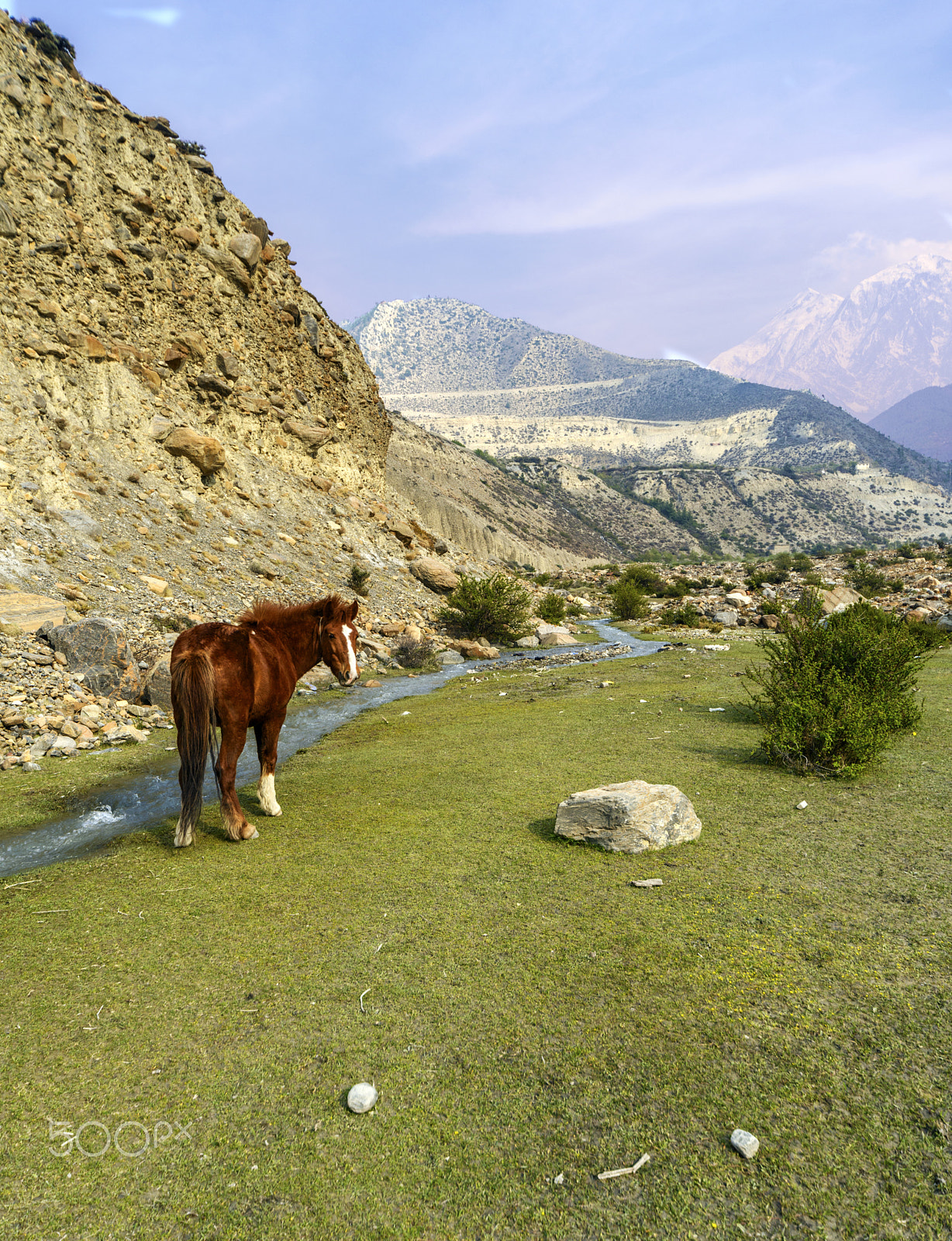 Sigma 12-24mm F4.5-5.6 EX DG Aspherical HSM sample photo. As she graze... photography