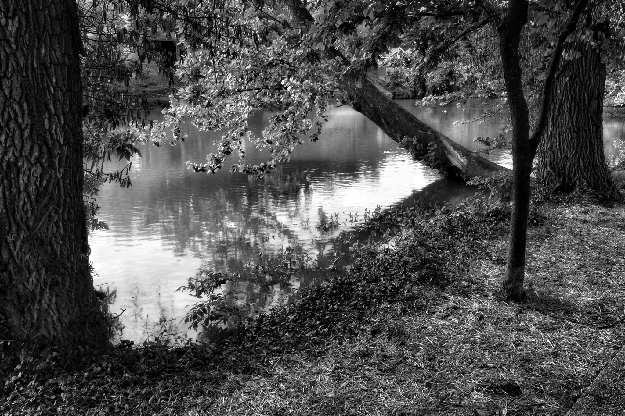 Canon EF-S 18-55mm F3.5-5.6 IS sample photo. The finley river photography