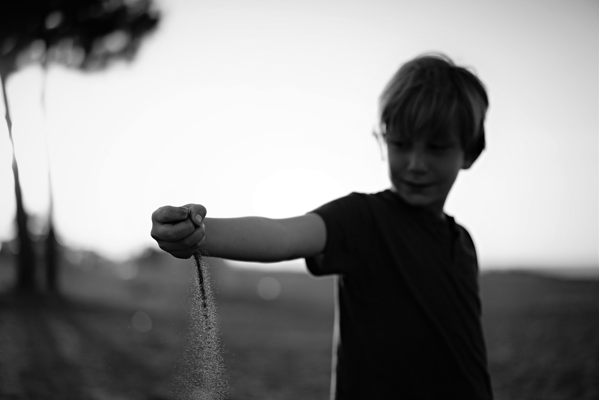 Sony a7R + Sony Sonnar T* FE 55mm F1.8 ZA sample photo. Backlight photography