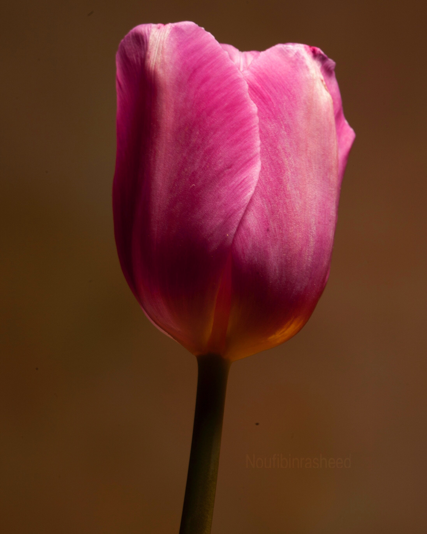 Canon EF 180mm F3.5L Macro USM sample photo
