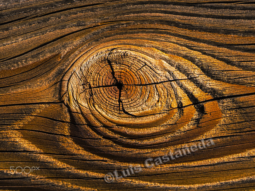 Panasonic Lumix DMC-GF3 sample photo. Wood detail. photography