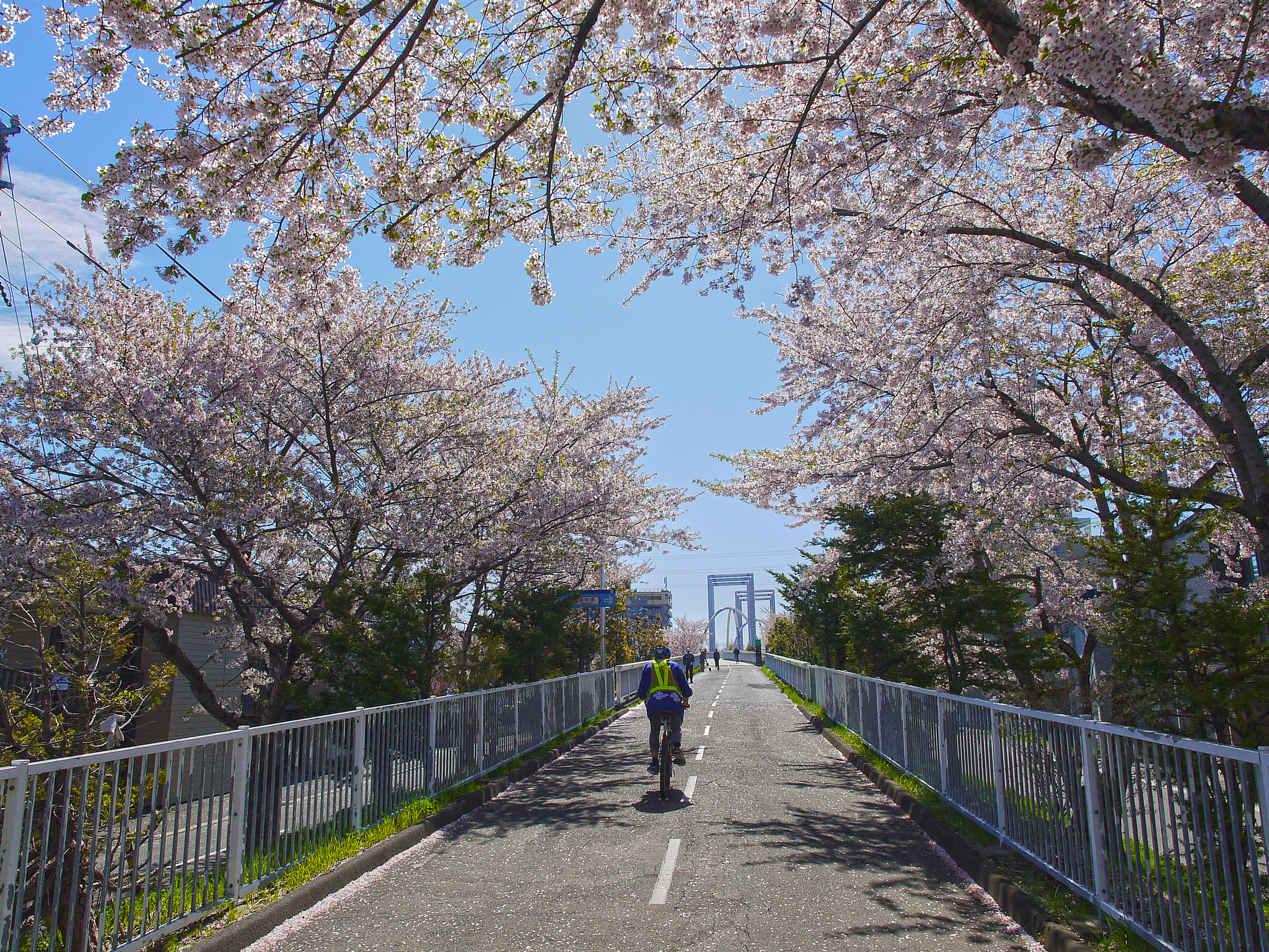 Panasonic Lumix DMC-GF1 + OLYMPUS M.12mm F2.0 sample photo