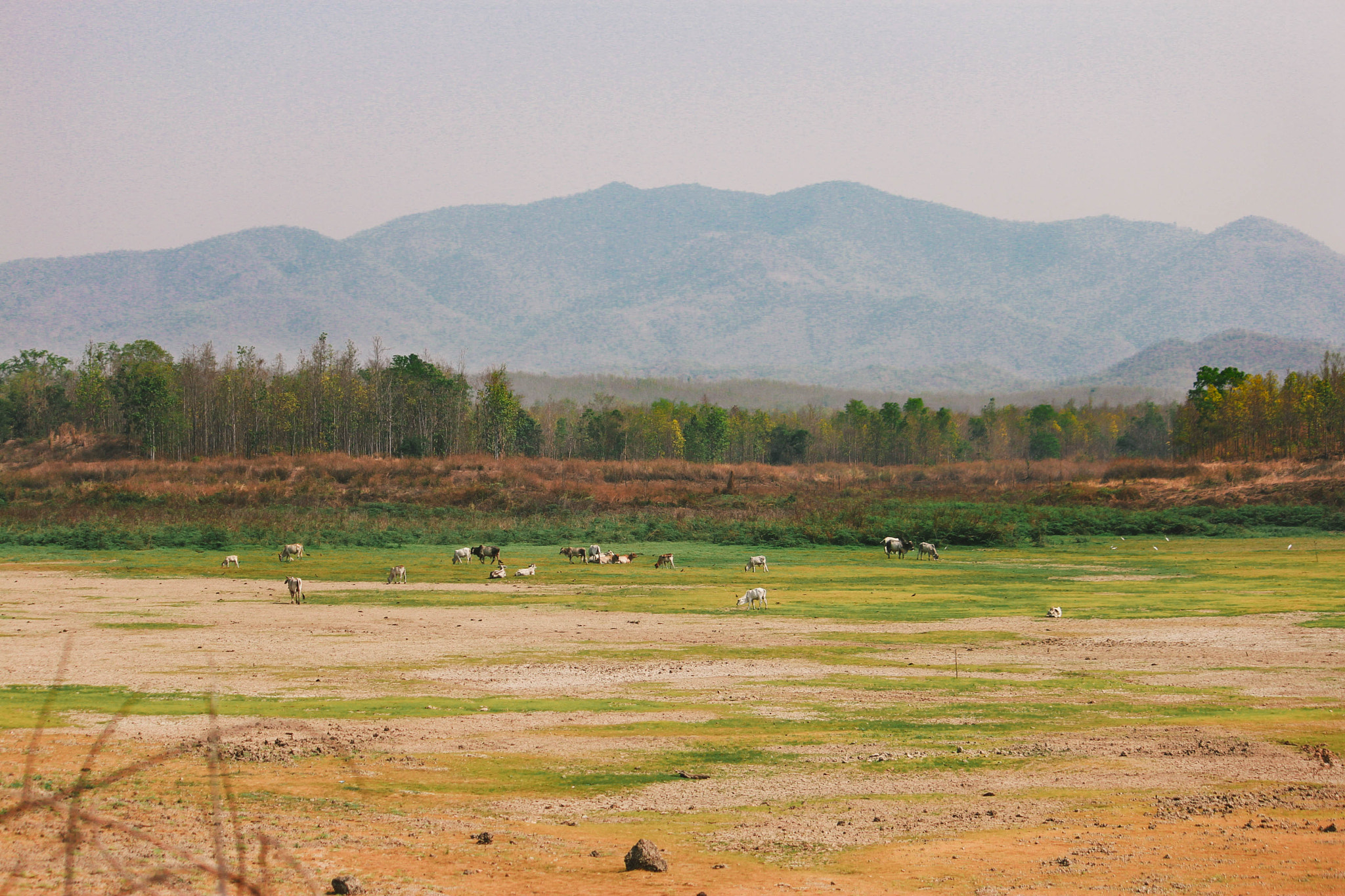Canon EOS 600D (Rebel EOS T3i / EOS Kiss X5) sample photo. Chiangmai photography