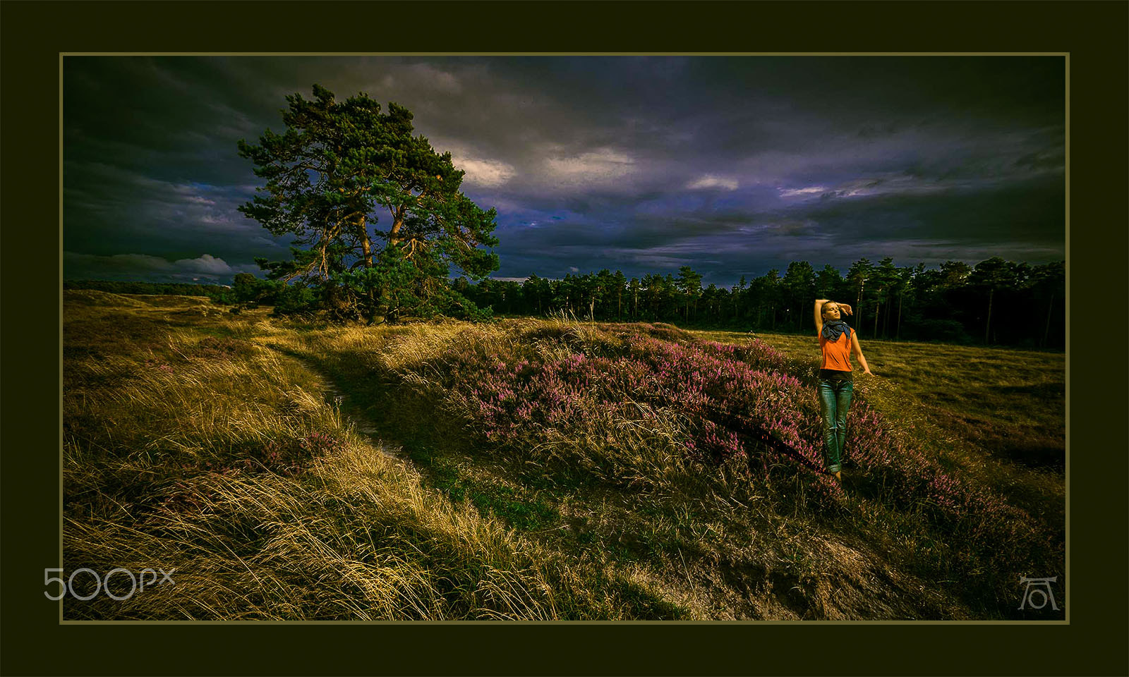 Panasonic Lumix DMC-GH2 + Panasonic Lumix G Vario 7-14mm F4 ASPH sample photo. Heath in grenaa, denmark photography