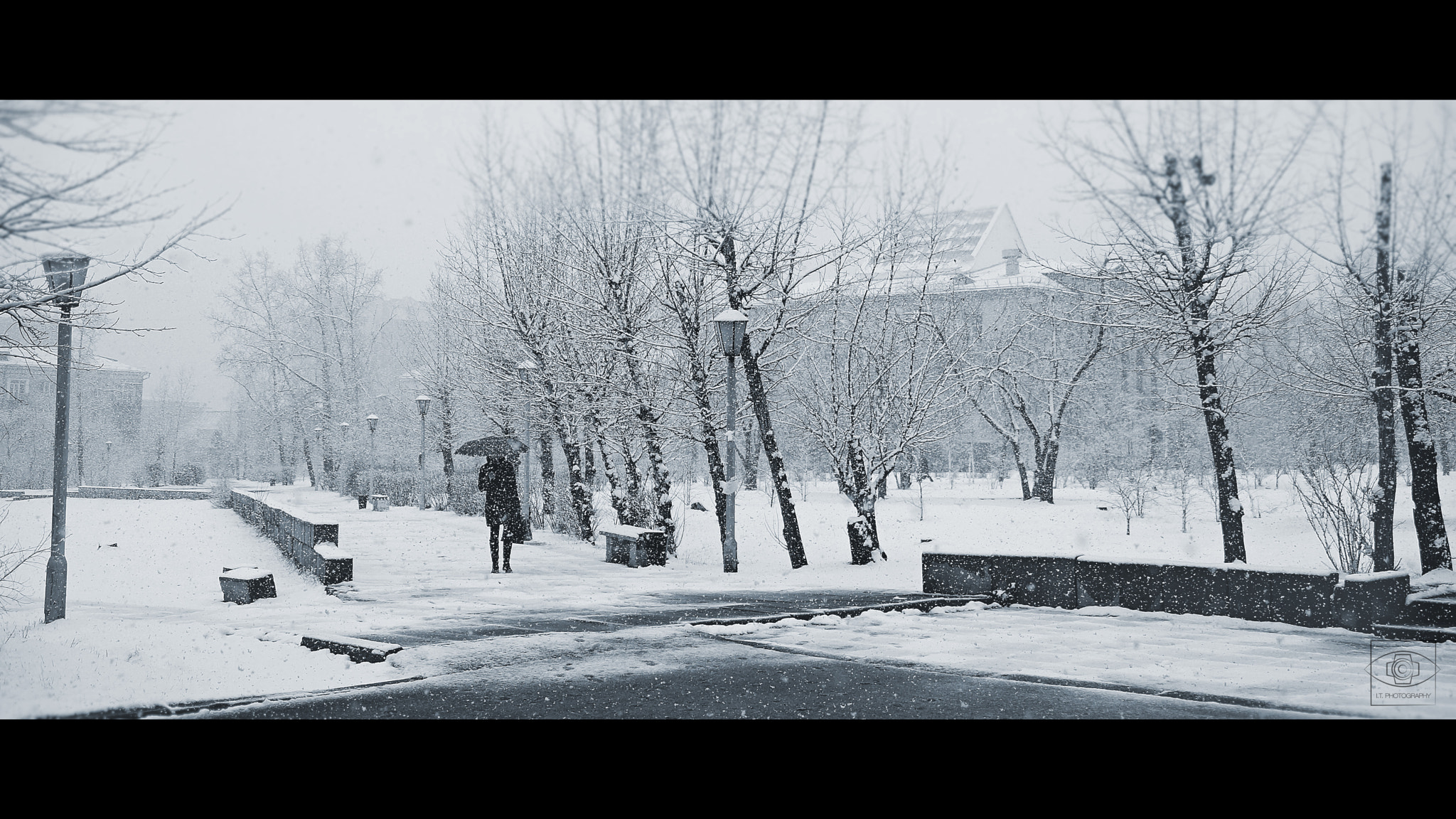 Sony SLT-A77 sample photo. Winter spring photography