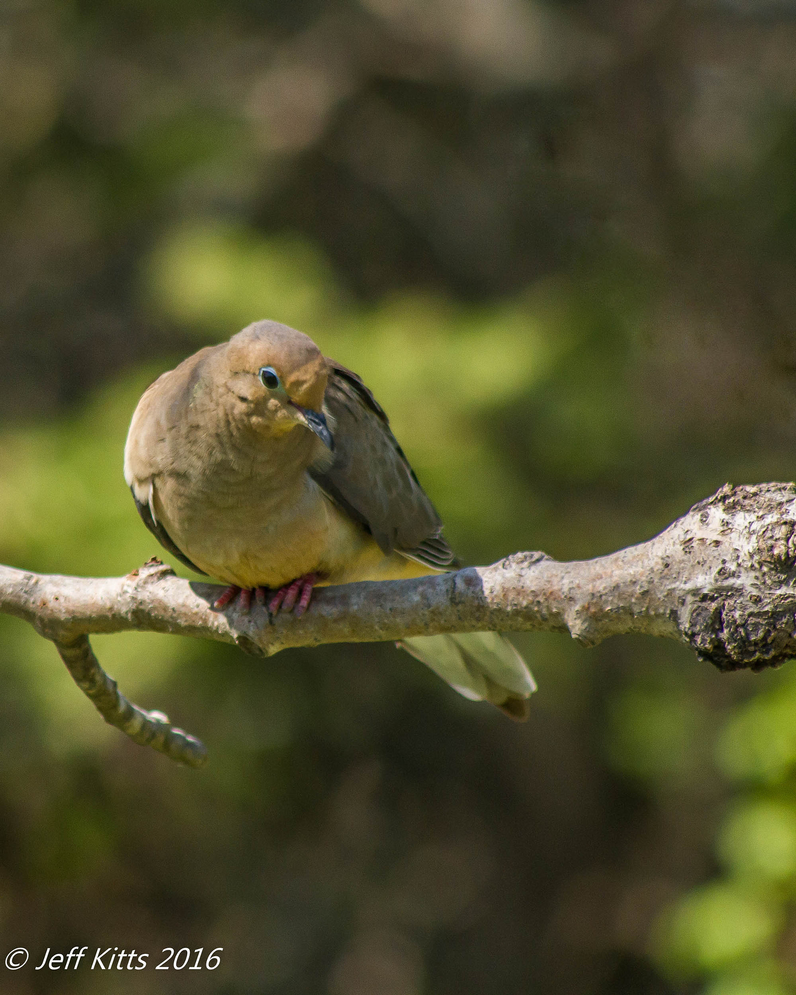 Canon EF 75-300mm f/4-5.6 USM sample photo. 3793 photography