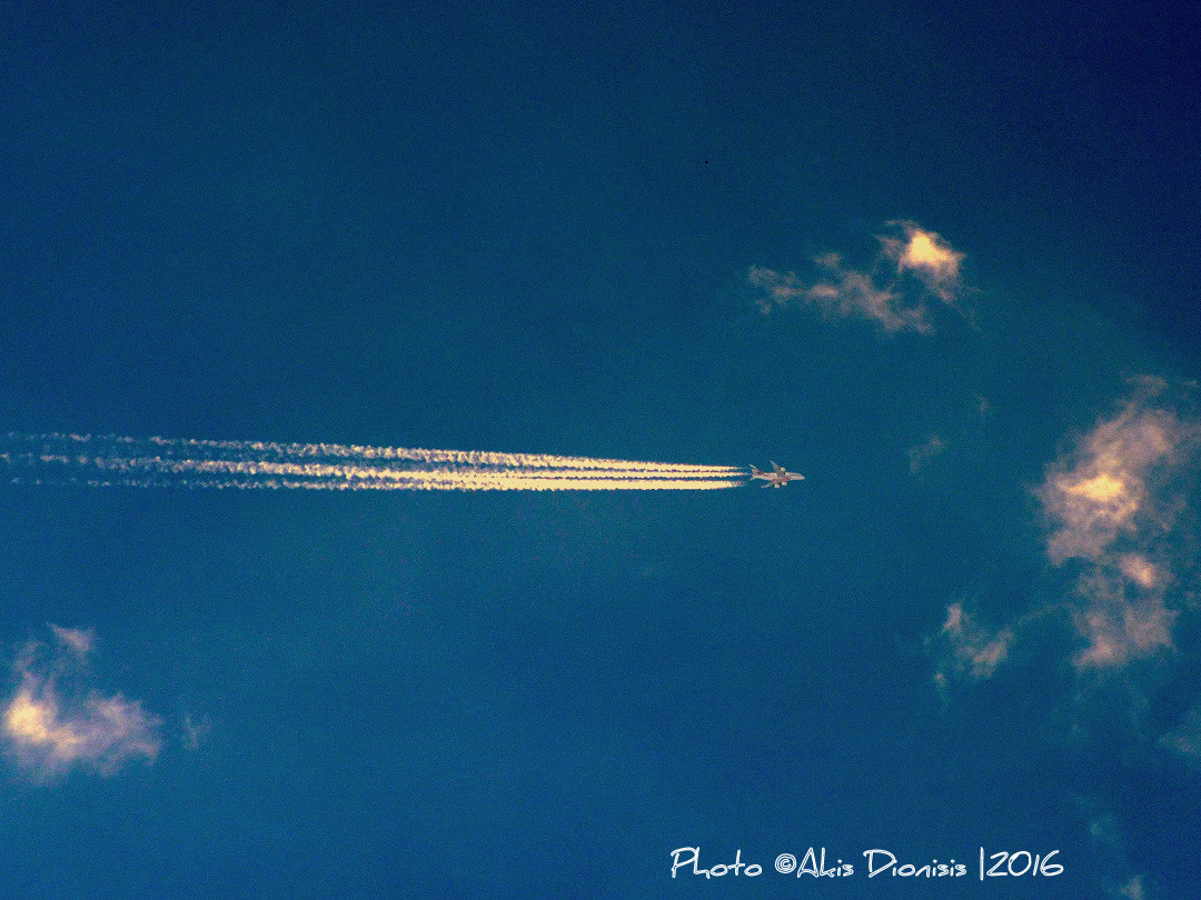 Nikon D5200 + Sigma 70-210mm F4-5.6 UC-II sample photo. A380-861 - emirates photography