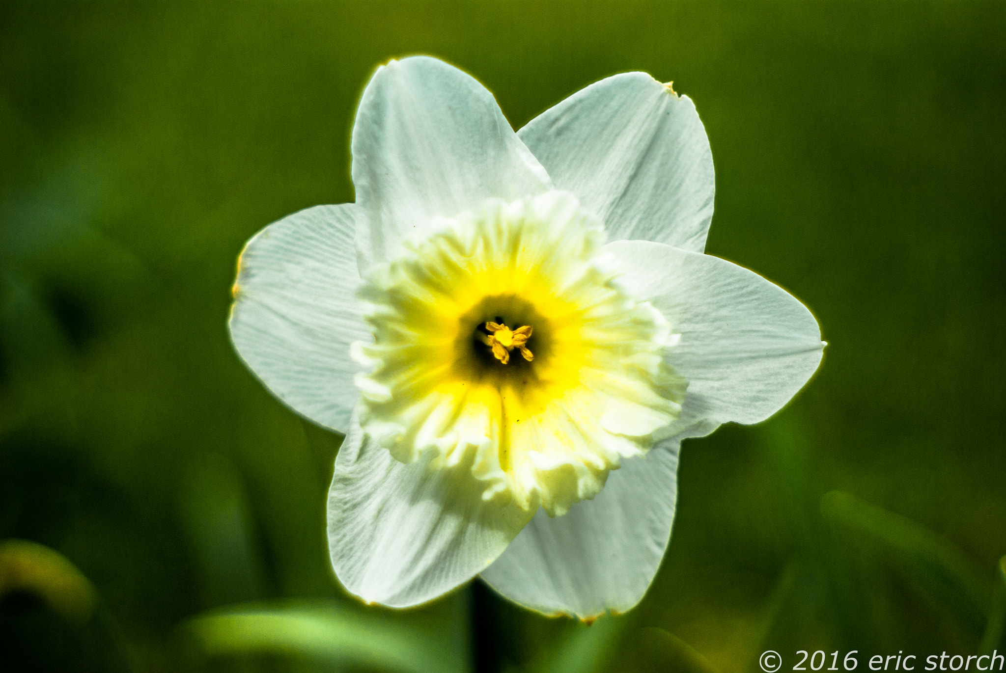 Pentax K10D sample photo. Soft 03 photography