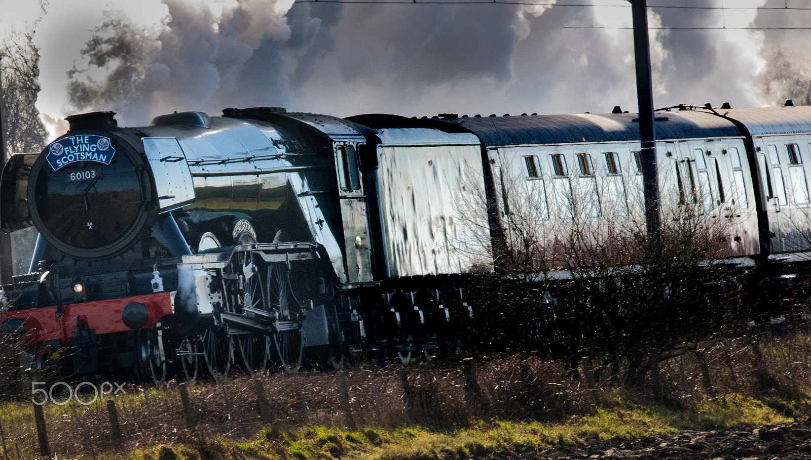 Sigma 150-600mm F5-6.3 DG OS HSM | S sample photo. Flying scotsman photography