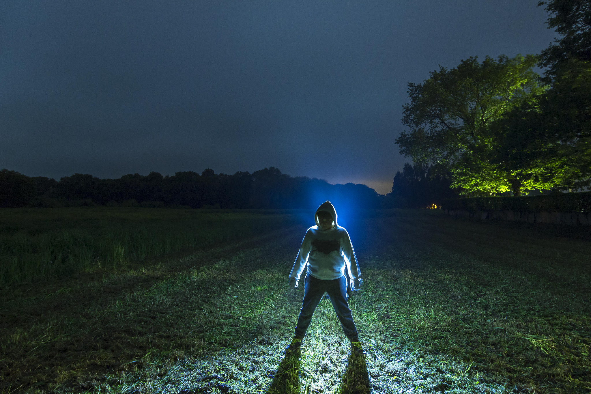Tokina AT-X Pro 12-24mm F4 (IF) DX sample photo. Strange beings photography