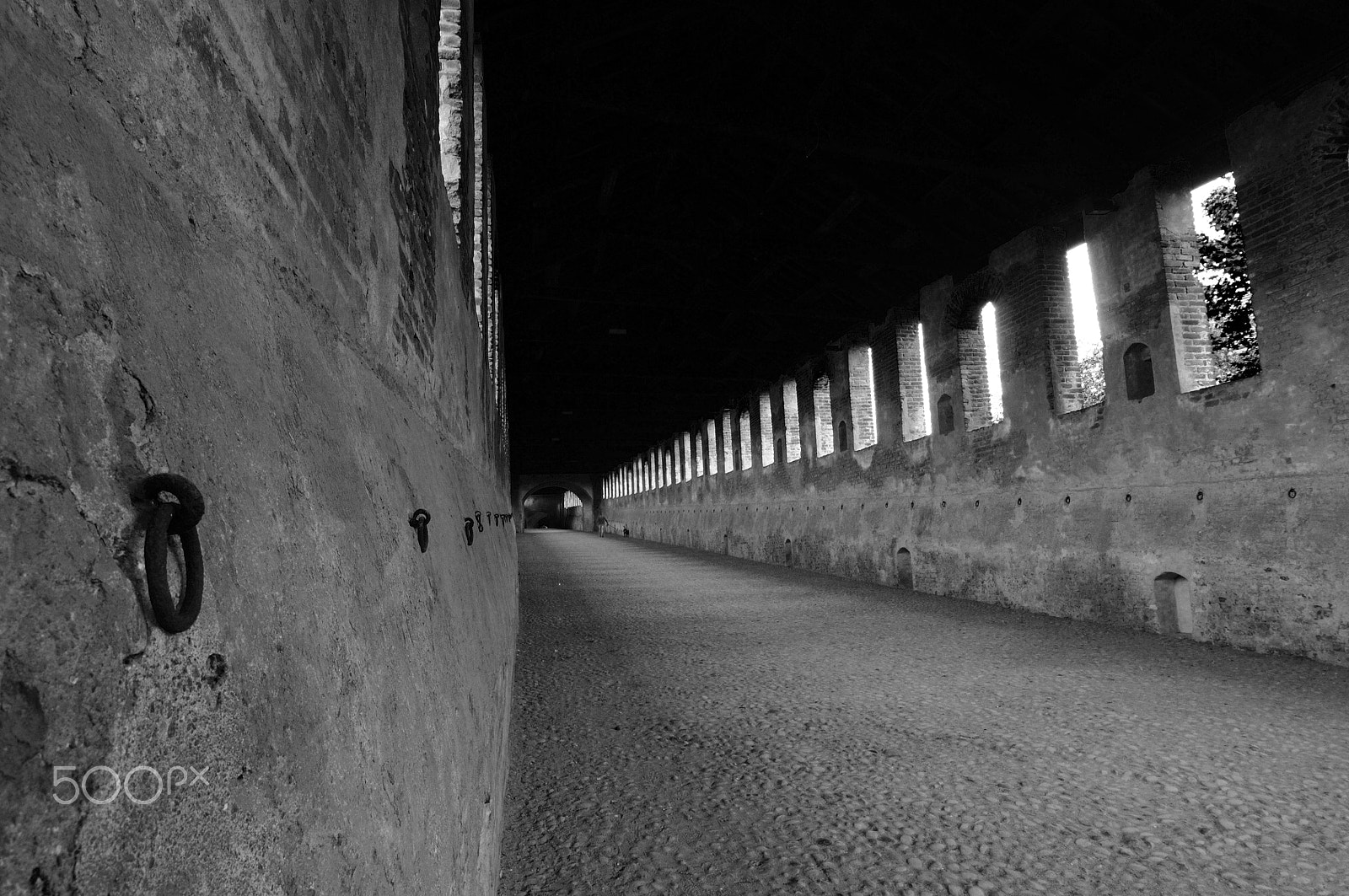 Nikon D300 + Nikon AF-S Nikkor 14-24mm F2.8G ED sample photo. Vigevano-bw-02 photography