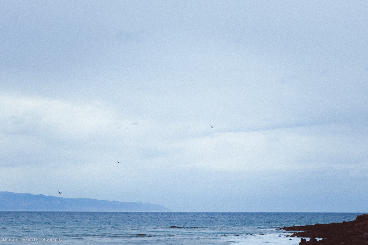 Canon EOS-1D Mark III sample photo. *** photography