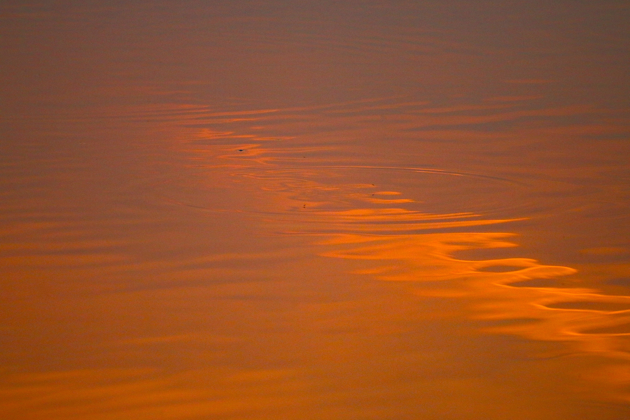 Sigma 150mm f/2.8 EX DG OS HSM APO Macro sample photo. The reflection of clouds i the water 云在水中的倒影 photography