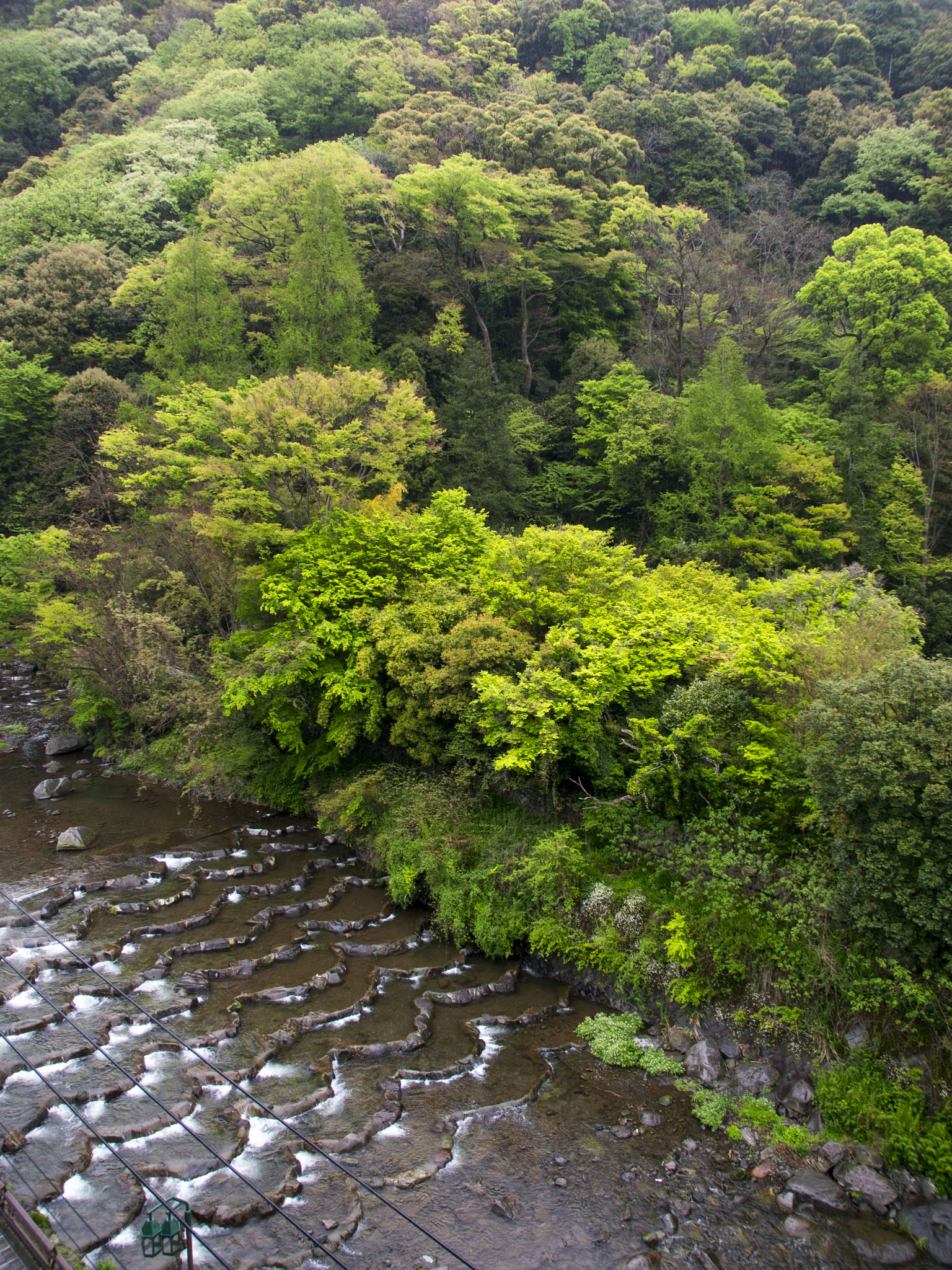 Olympus PEN E-P3 sample photo. River photography