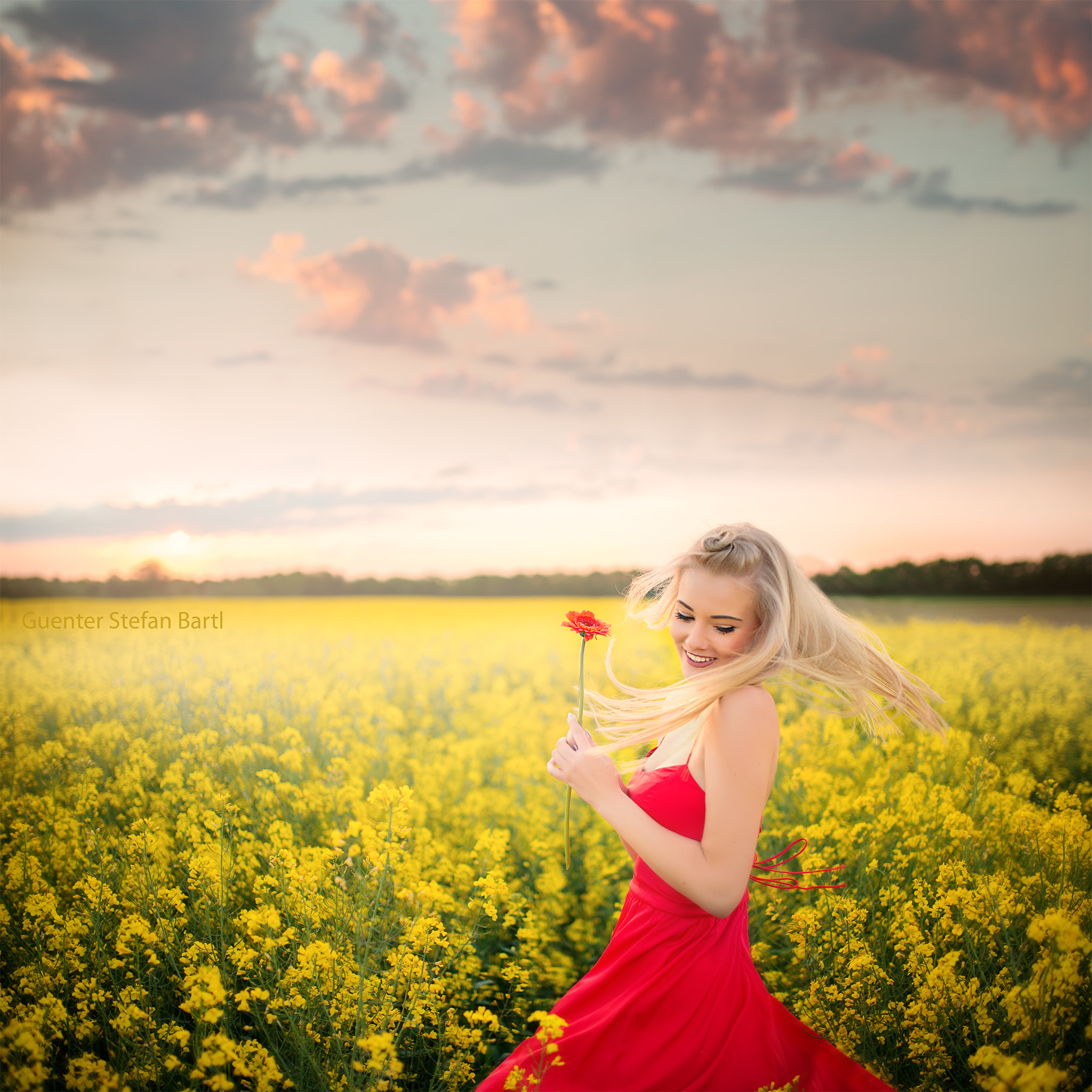 Nikon AF DX Fisheye-Nikkor 10.5mm F2.8G ED sample photo. Canola field photography