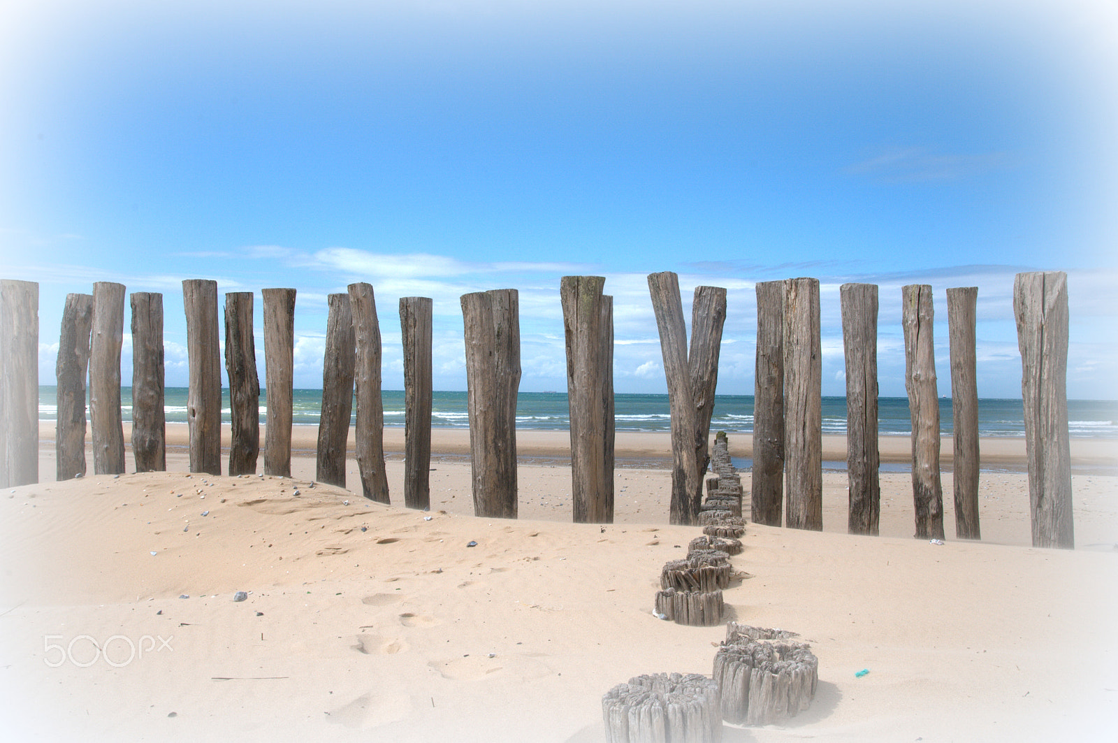 Nikon D300S sample photo. Wissant (fr) photography