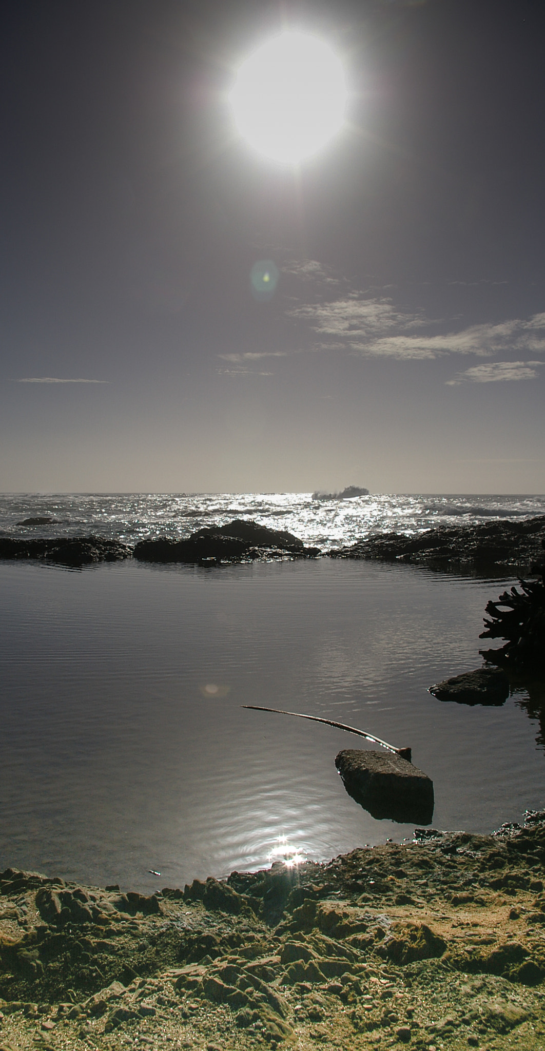 Pentax *ist DS sample photo. Northern california coast photography