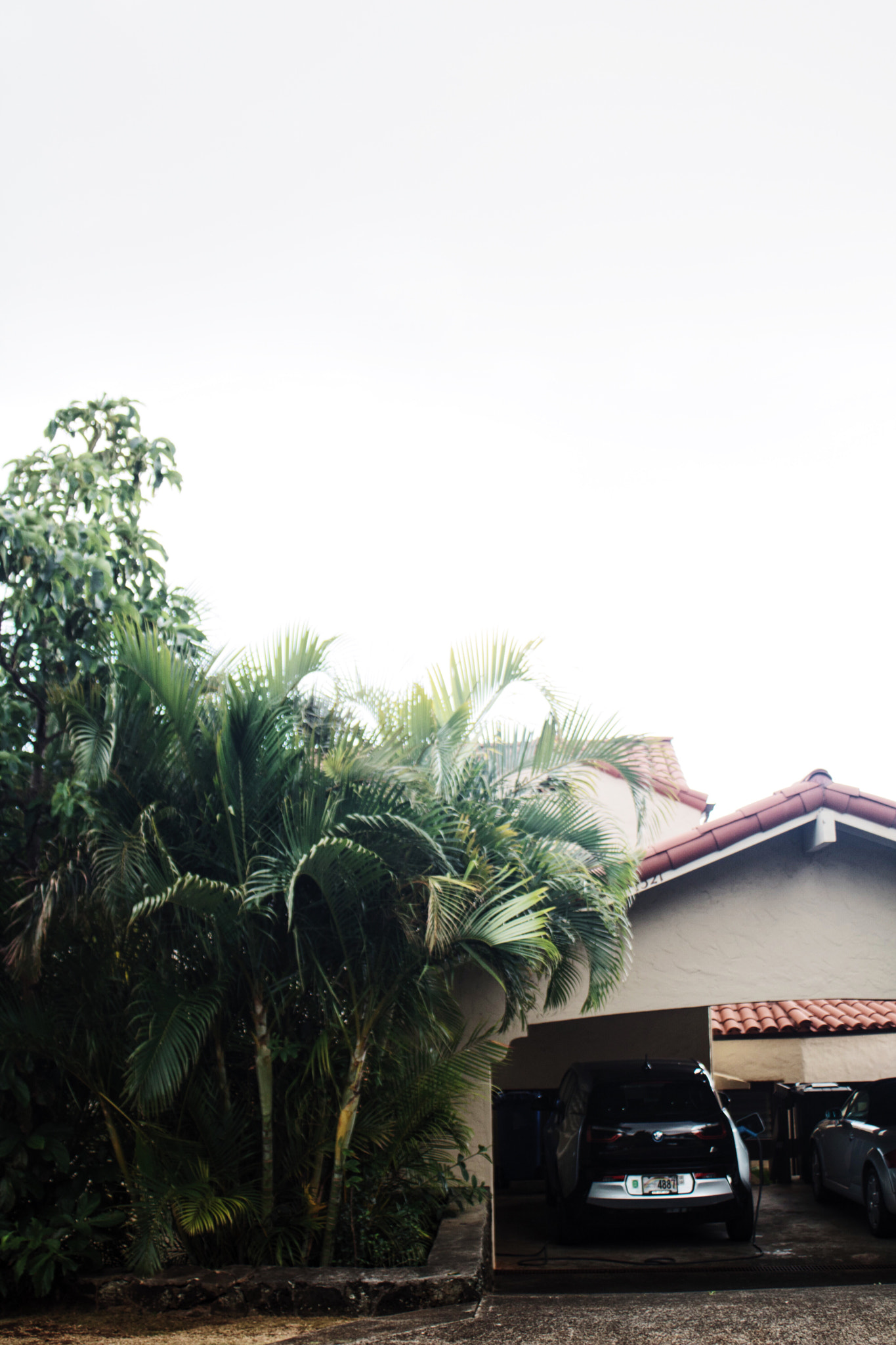 Canon EOS 750D (EOS Rebel T6i / EOS Kiss X8i) sample photo. 808 lifestyle photography