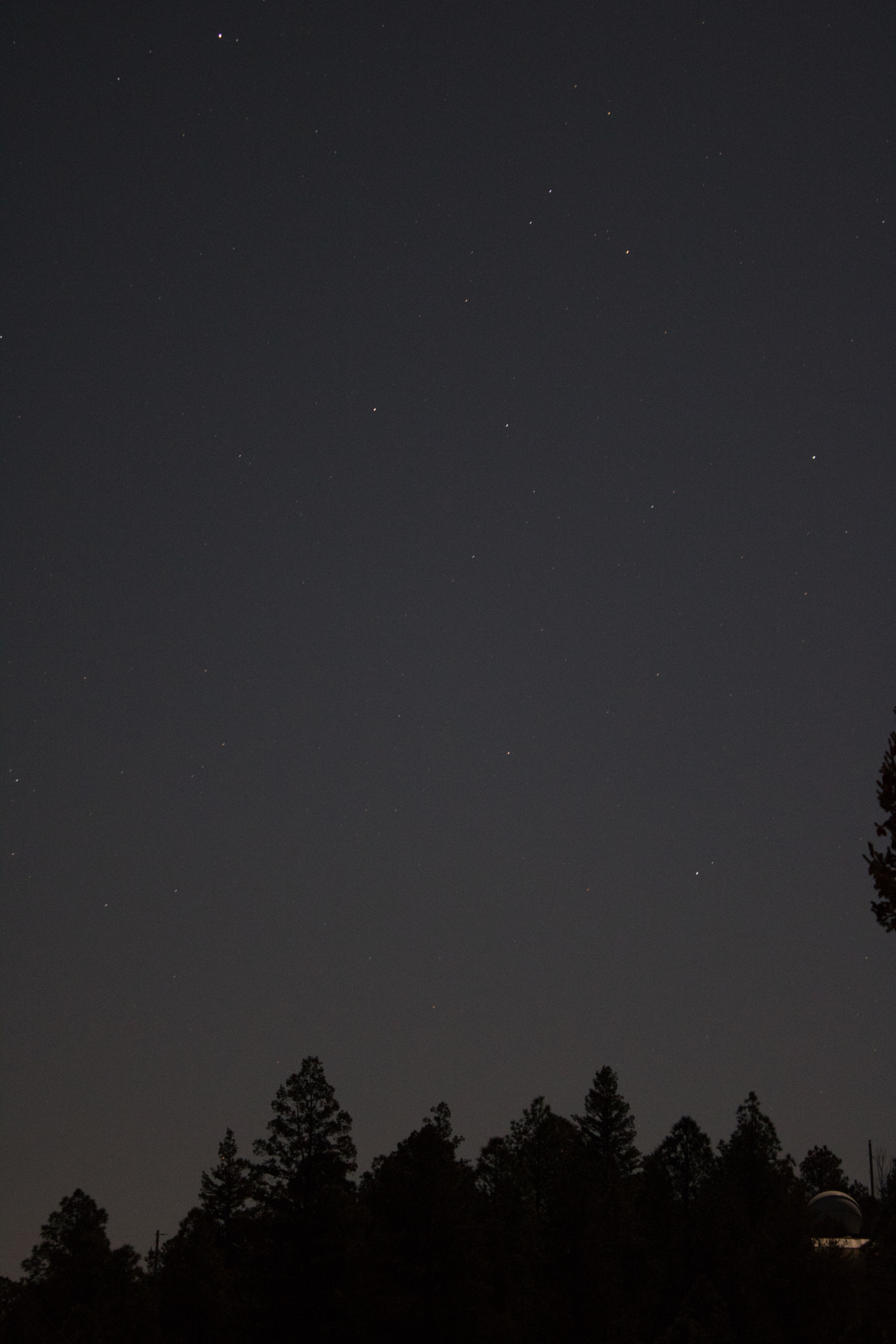 Canon EOS 750D (EOS Rebel T6i / EOS Kiss X8i) sample photo. Observe photography