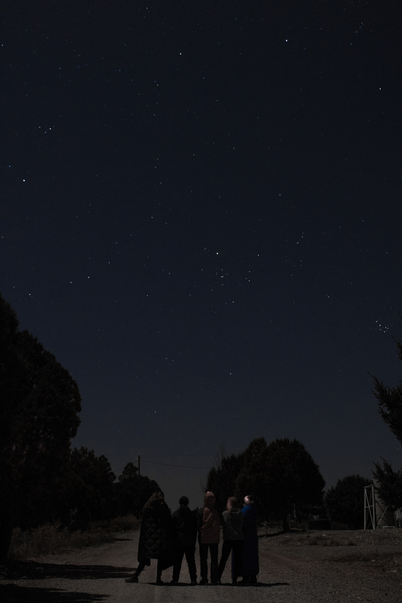 Canon EOS 750D (EOS Rebel T6i / EOS Kiss X8i) sample photo. Star'in up photography