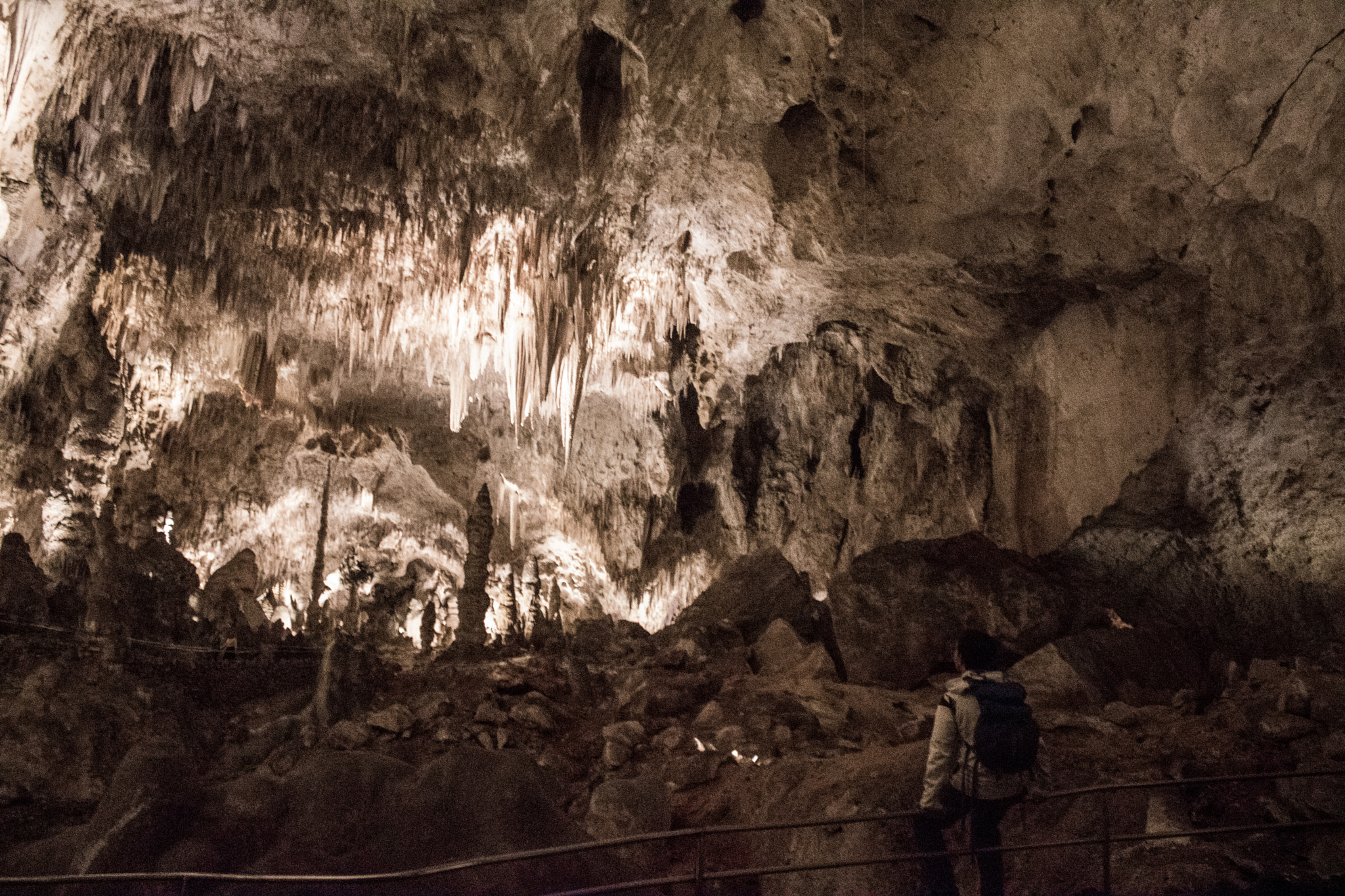 Canon EOS 750D (EOS Rebel T6i / EOS Kiss X8i) sample photo. Carlsbad cavern - the big room photography
